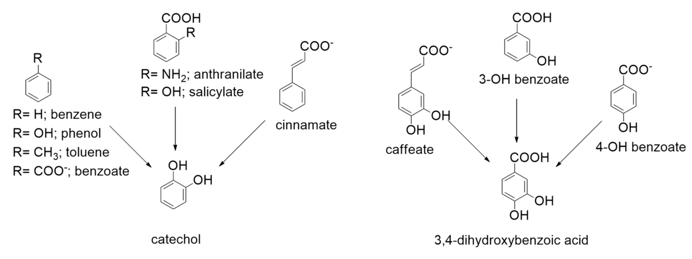 Catalysts 09 00037 g004 Catalysts 09 00037 g004