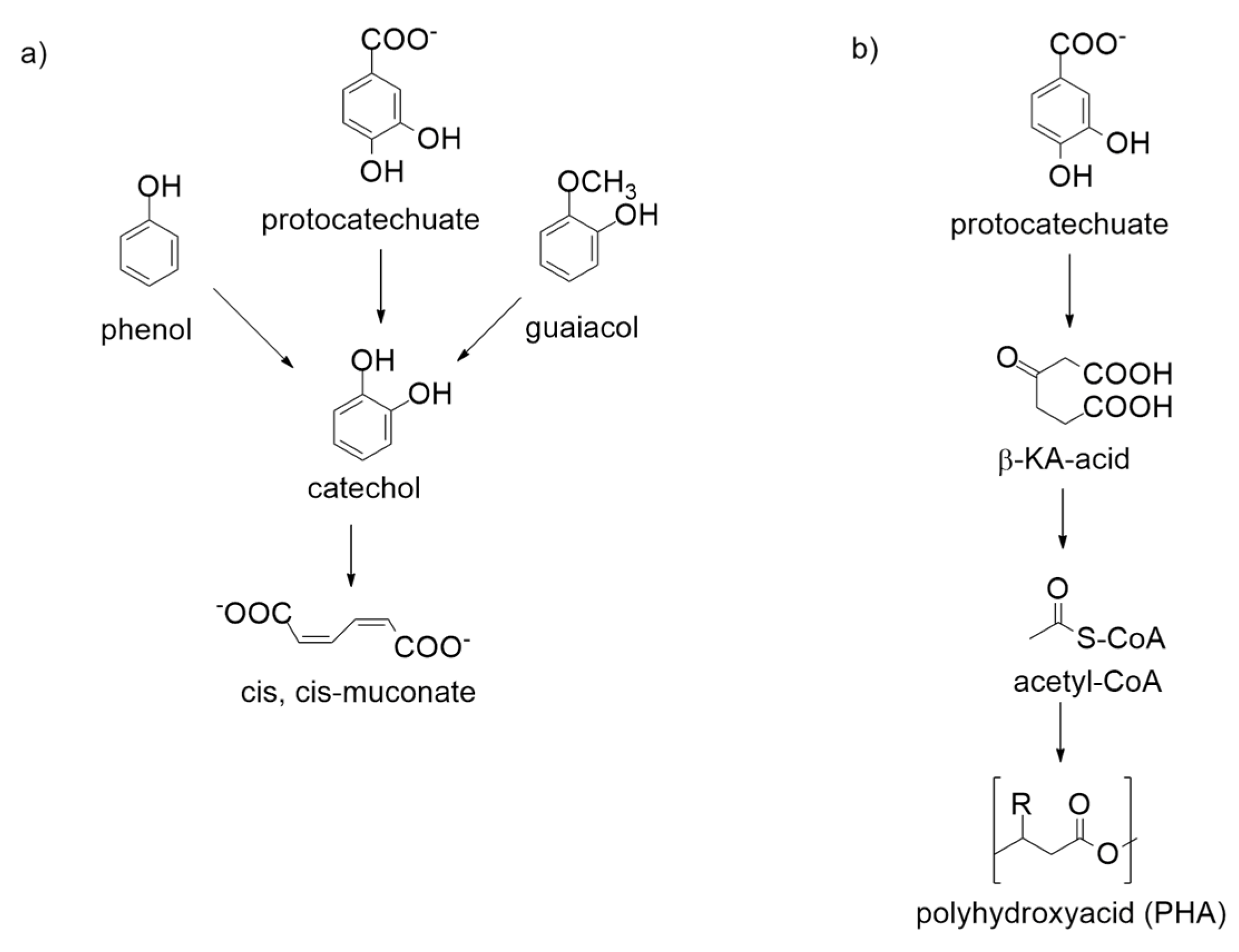 Catalysts 09 00037 g005 Catalysts 09 00037 g005