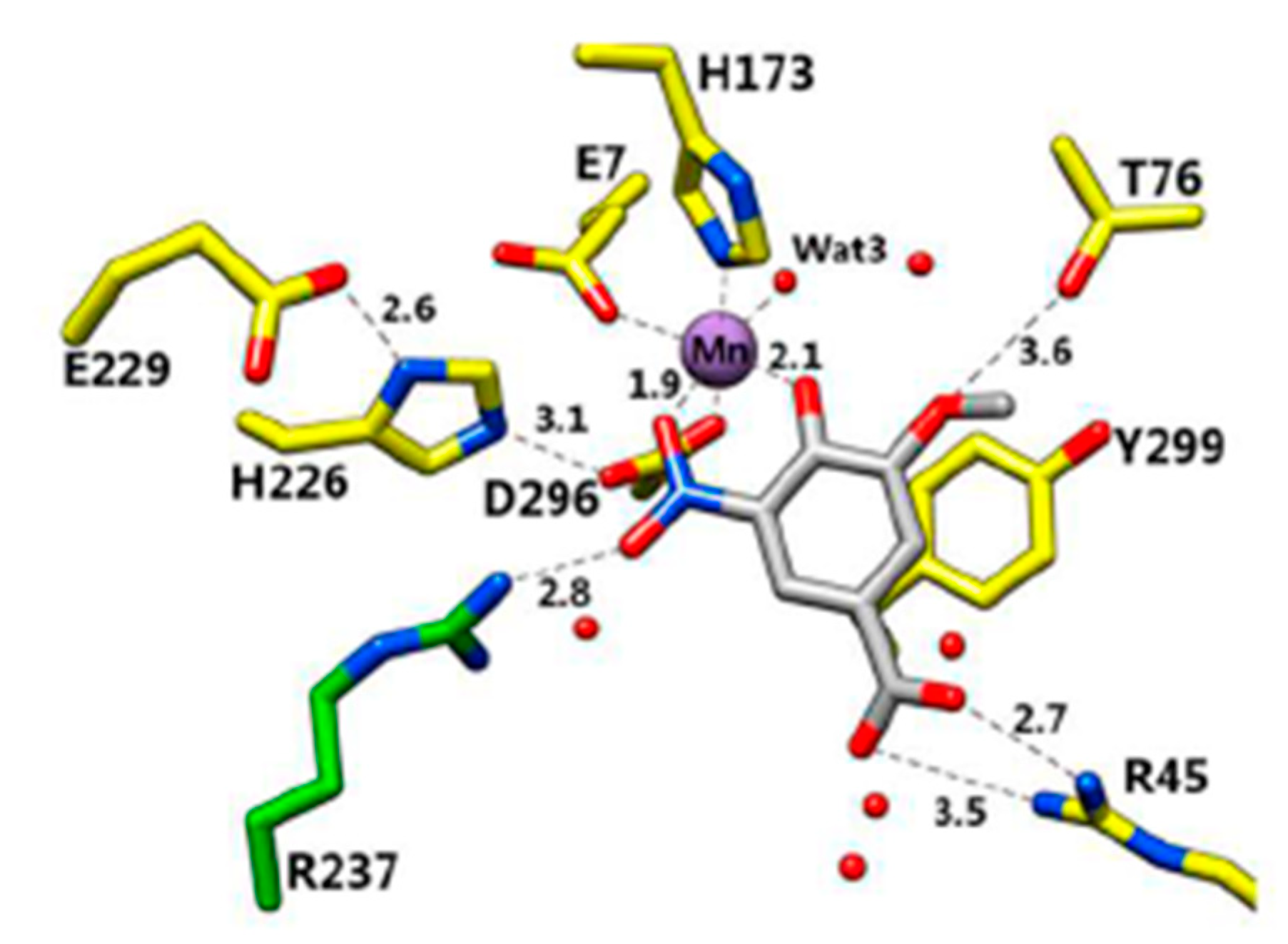 Catalysts 09 00037 g017 Catalysts 09 00037 g017