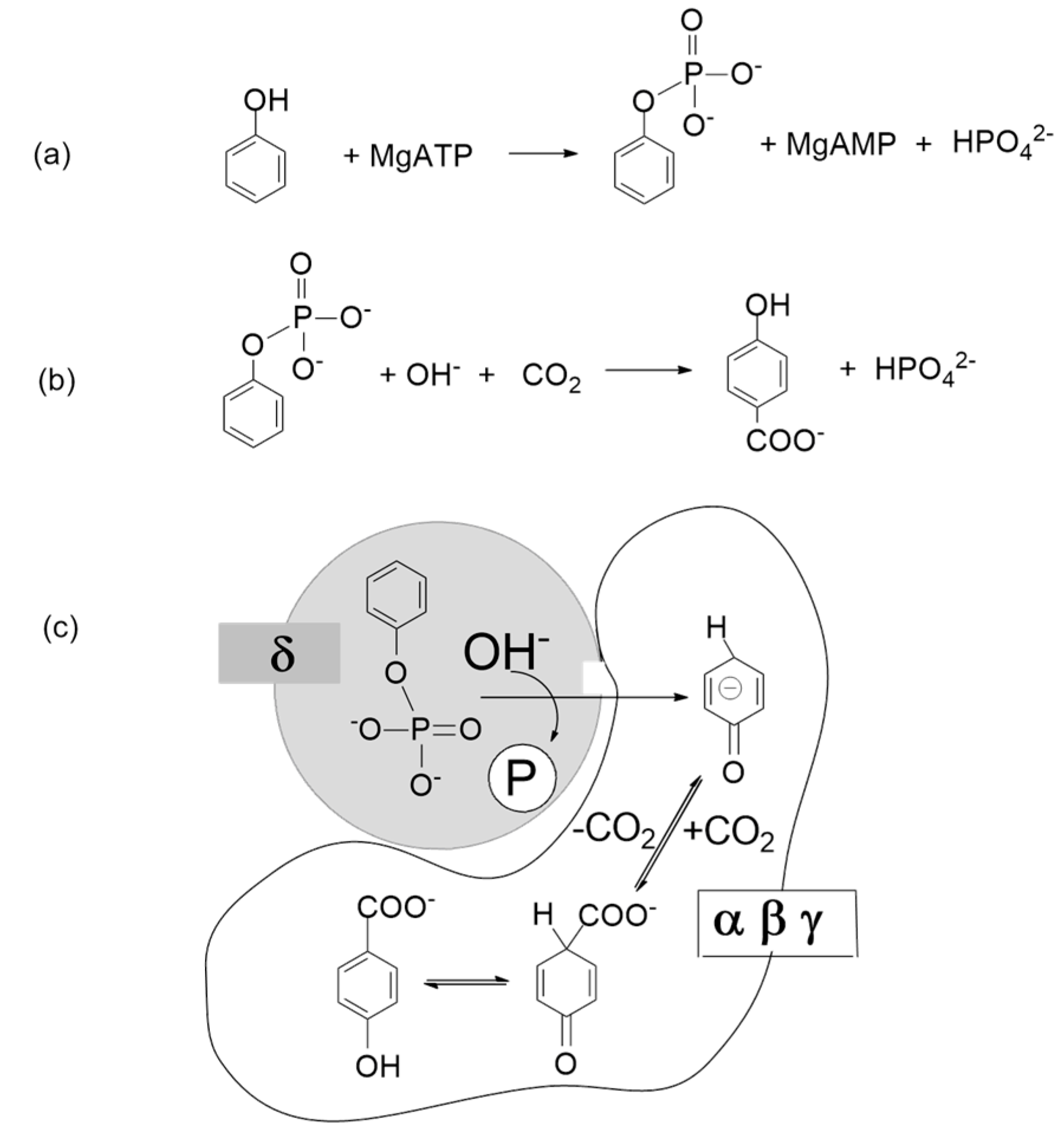 Catalysts 09 00037 g021 Catalysts 09 00037 g021
