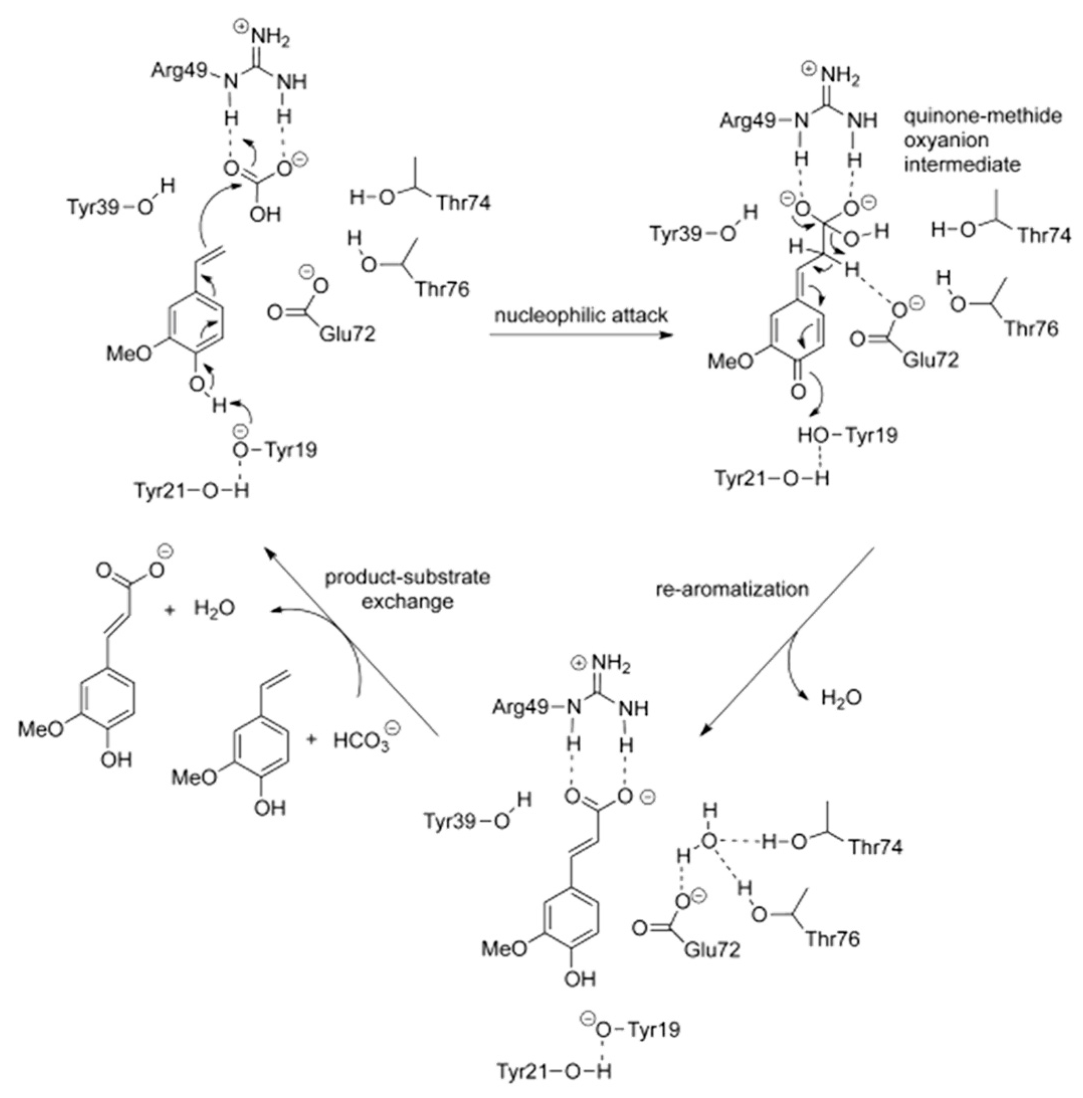 Catalysts 09 00037 g023 Catalysts 09 00037 g023