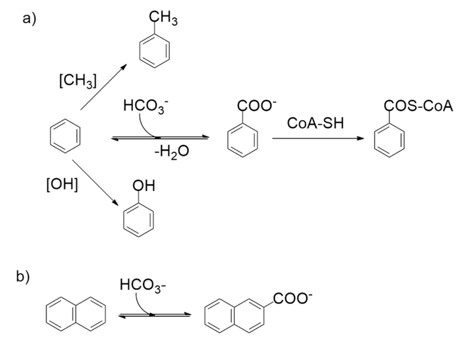 Catalysts 09 00037 g024 Catalysts 09 00037 g024