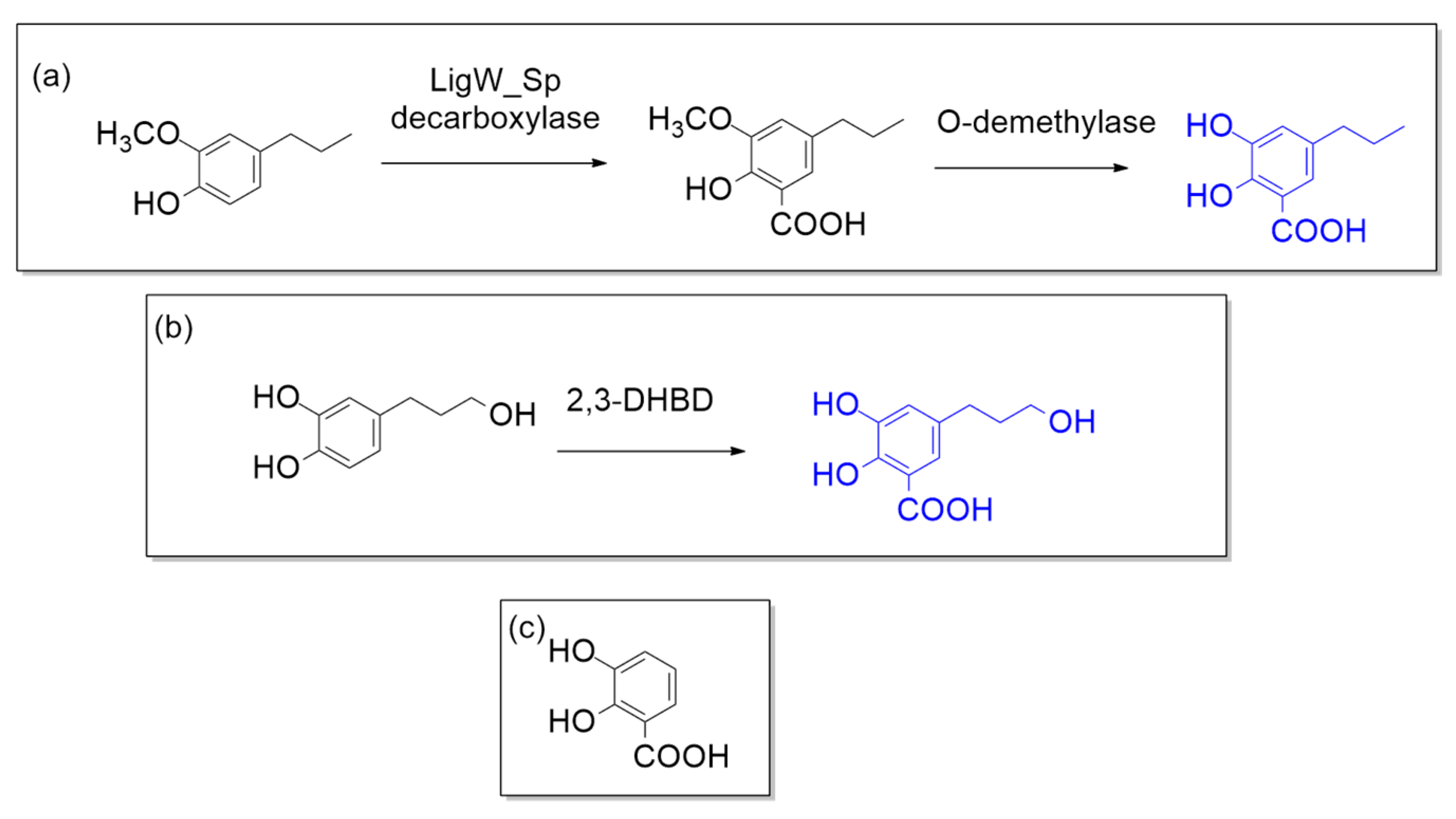 Catalysts 09 00037 g026 Catalysts 09 00037 g026