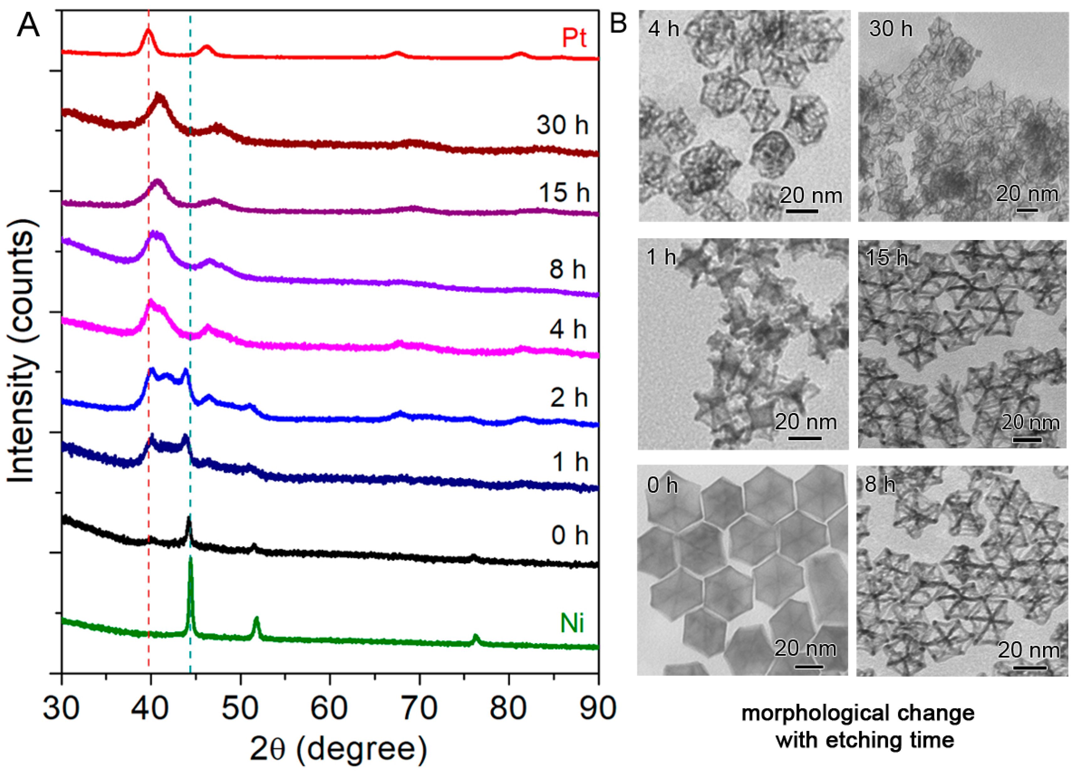 Catalysts 09 00039 g006