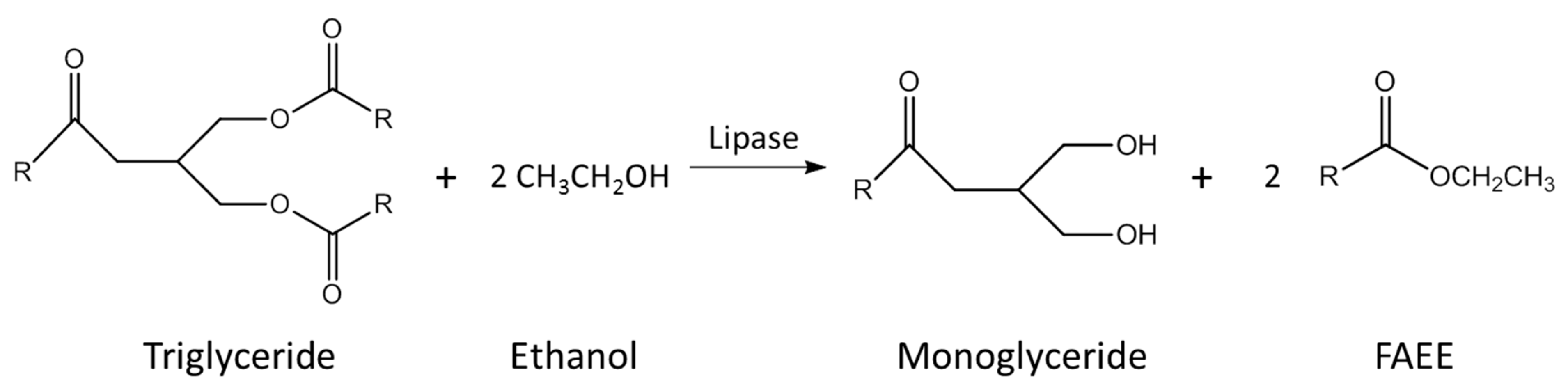 Catalysts 09 00040 g001