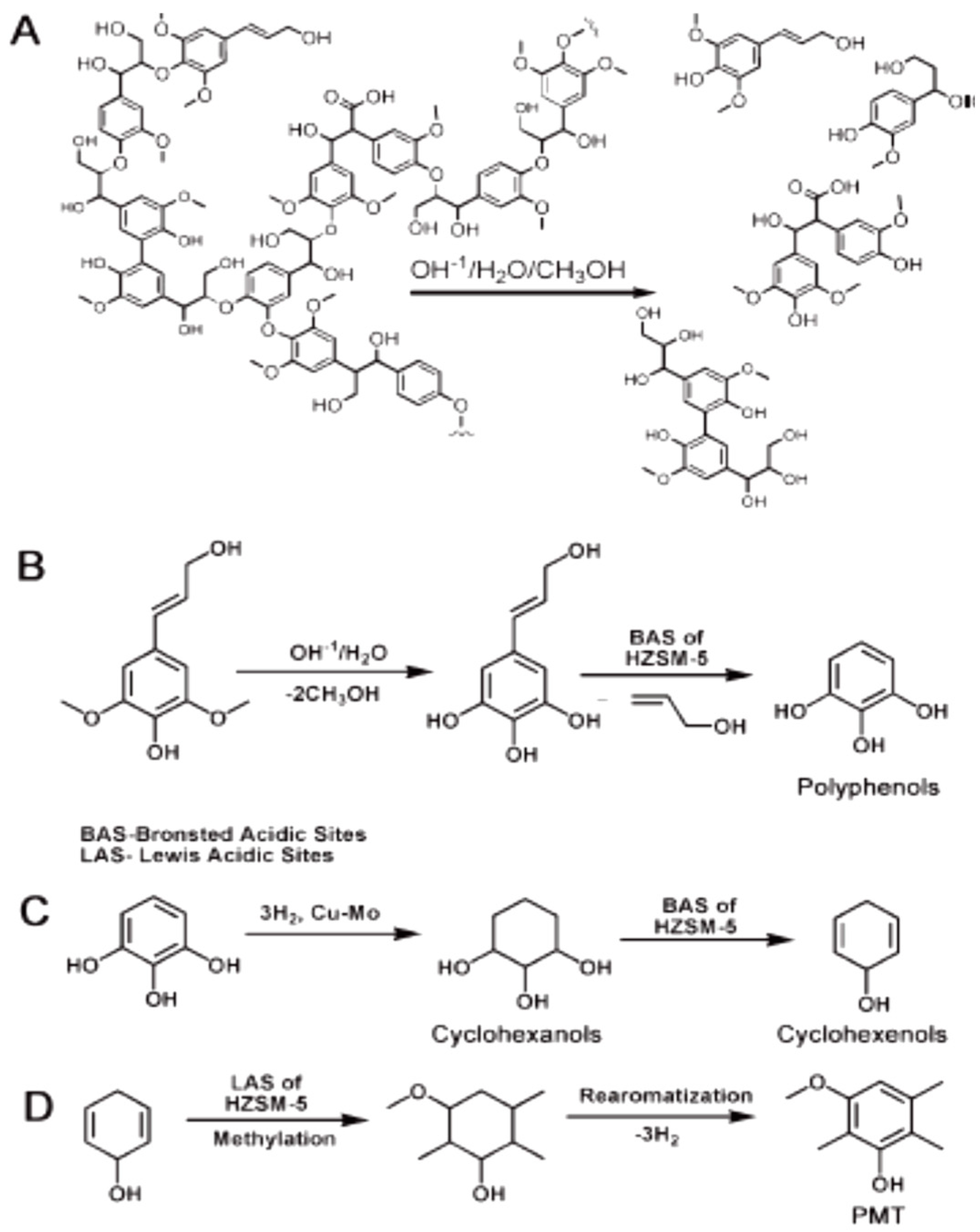 Catalysts 09 00043 g007