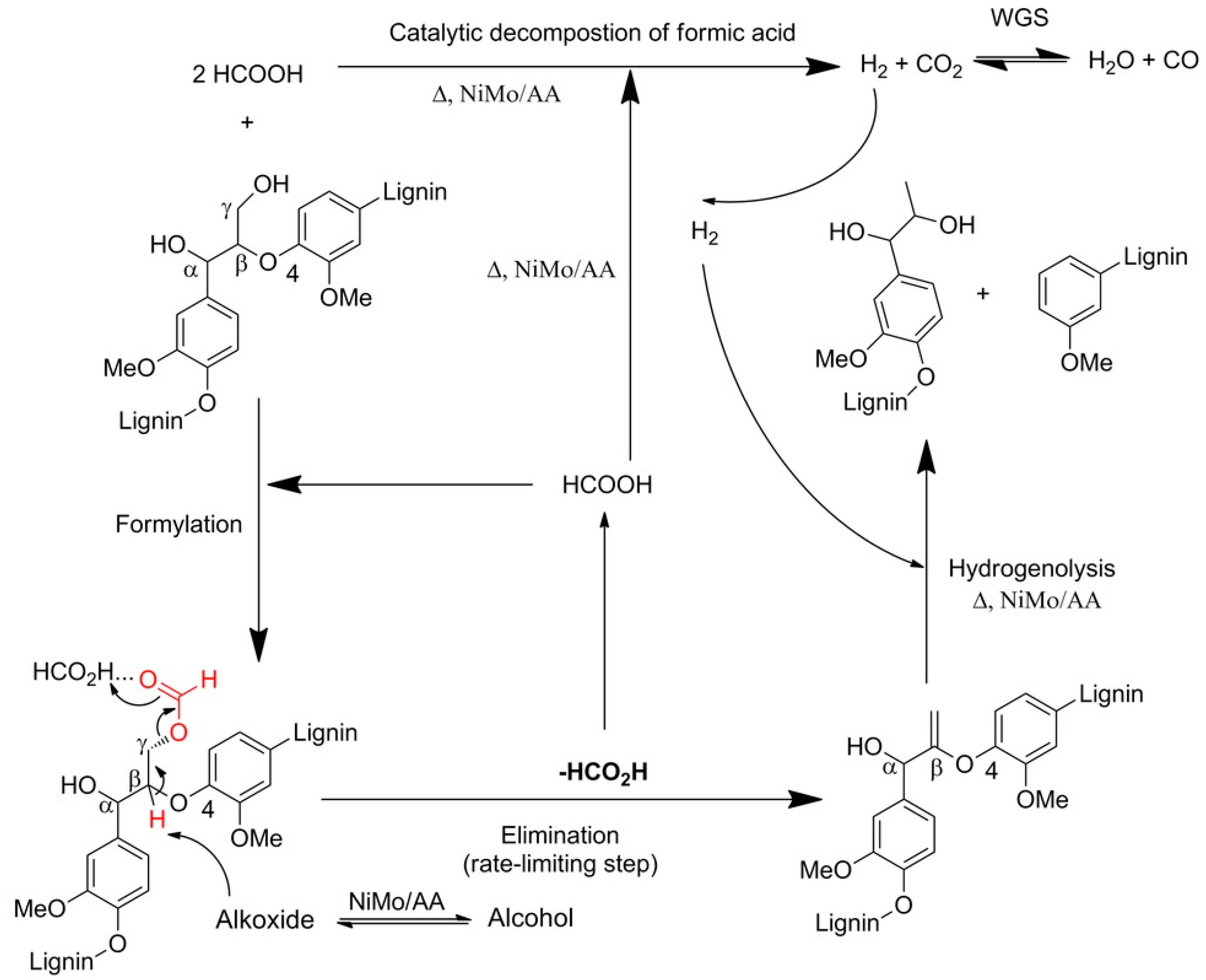 Catalysts 09 00043 g012