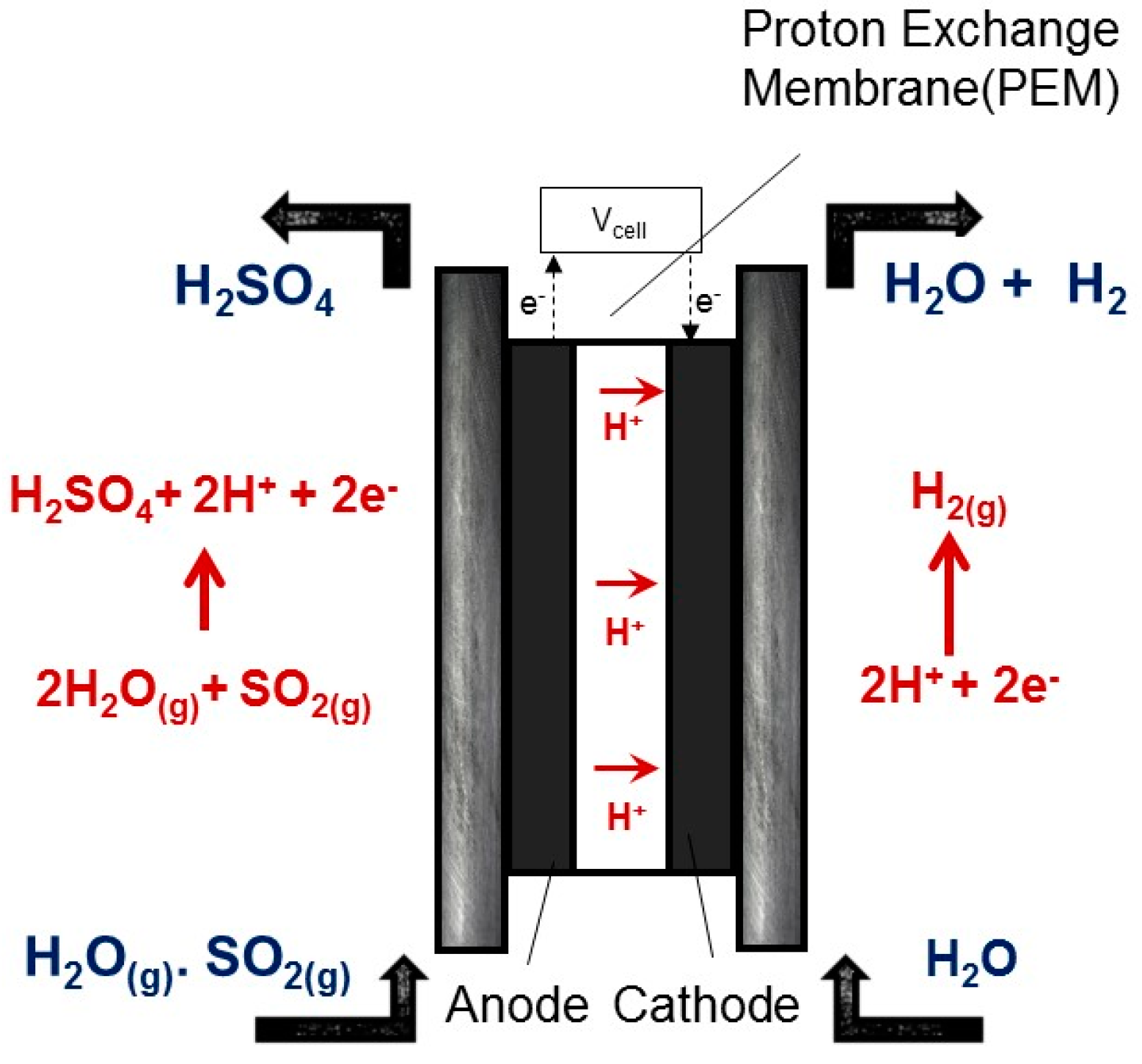 Catalysts 09 00063 g003