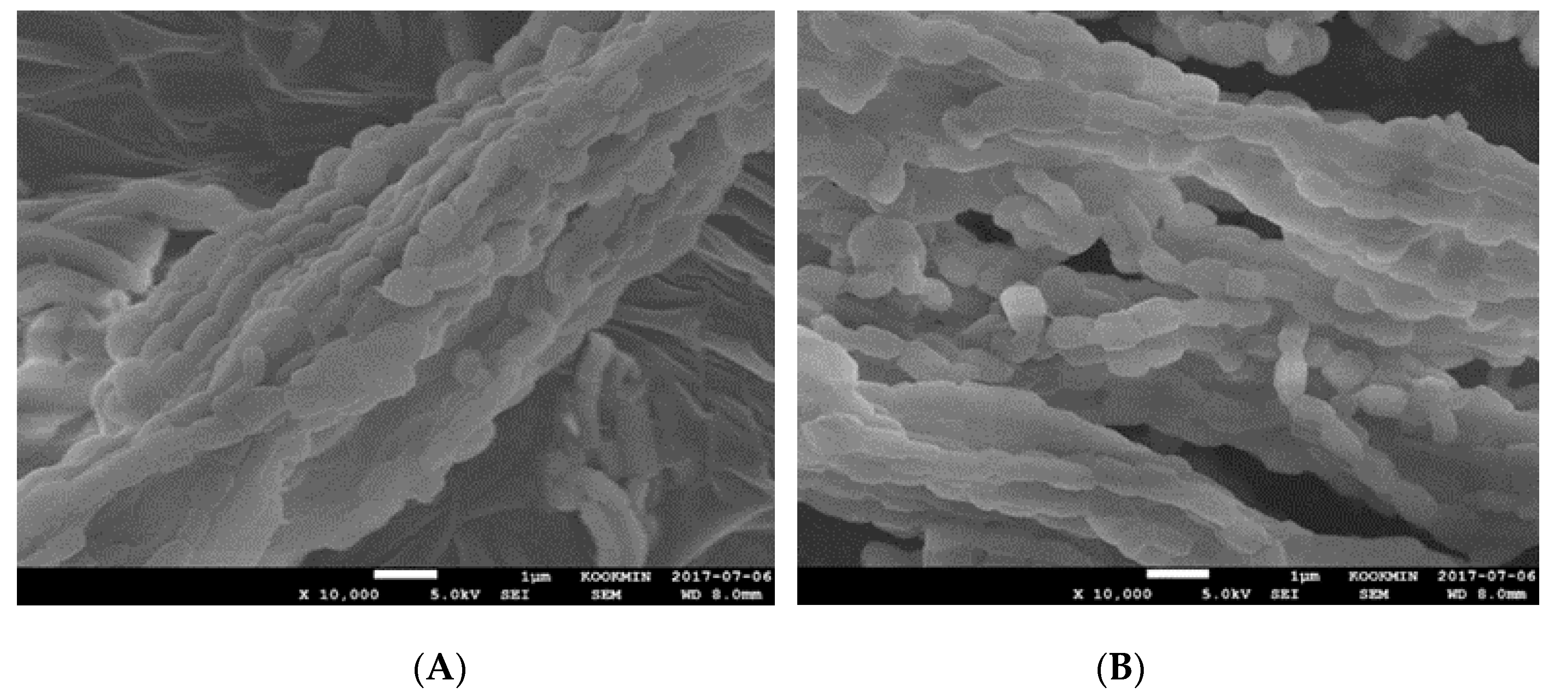 Catalysts 09 00067 g004