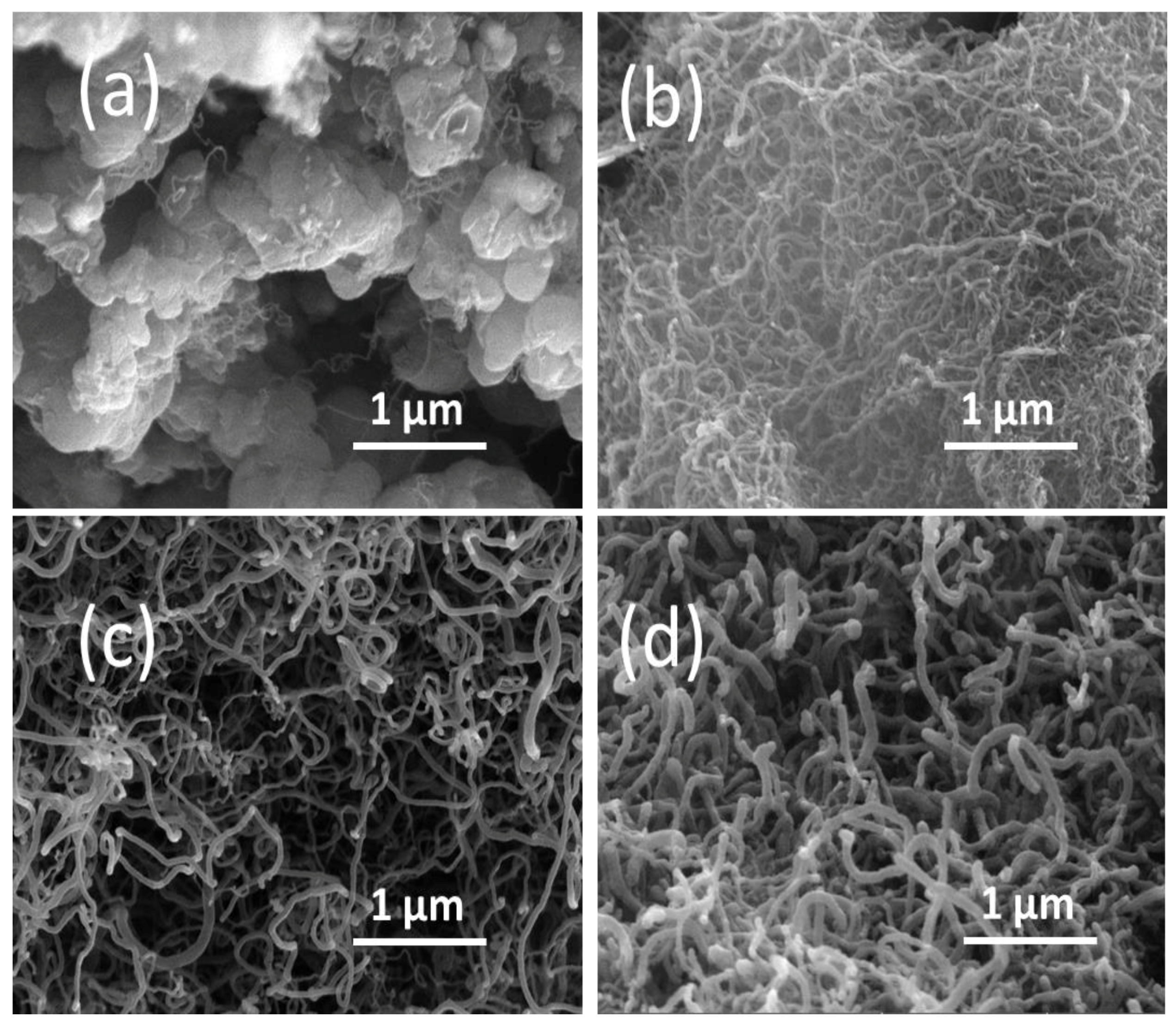 Catalysts 09 00068 g011 Catalysts 09 00068 g011