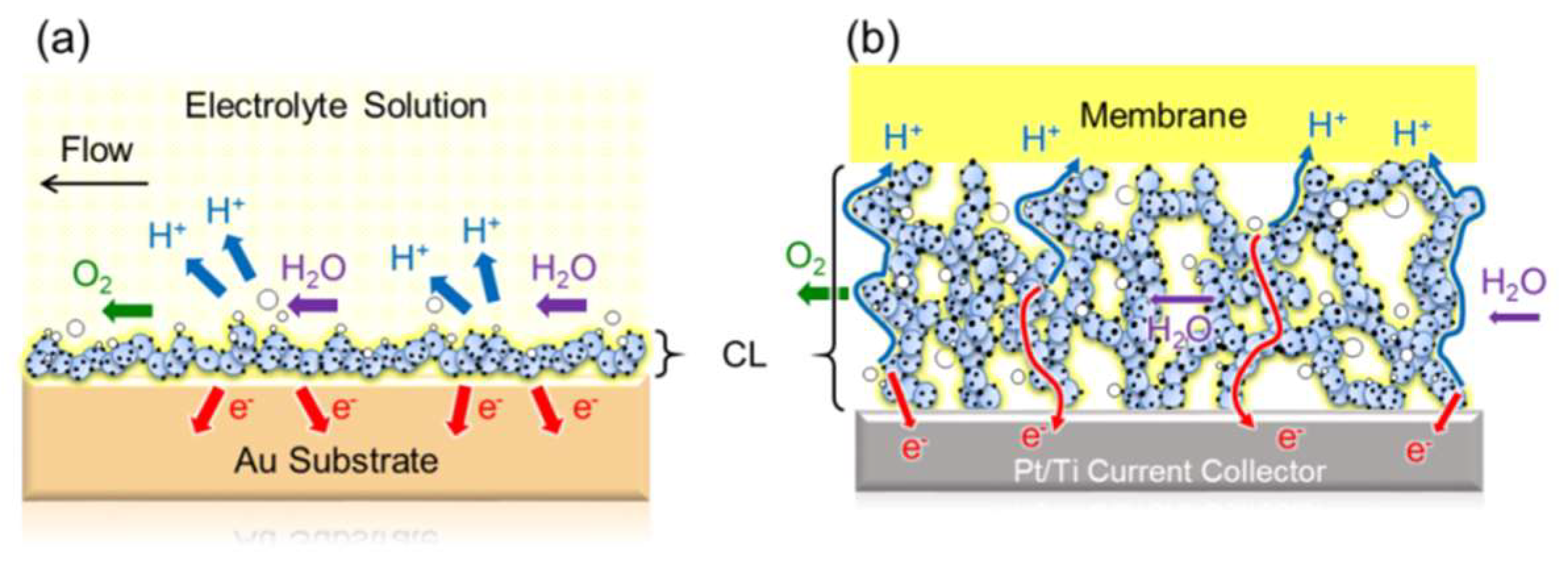 Catalysts 09 00074 g004