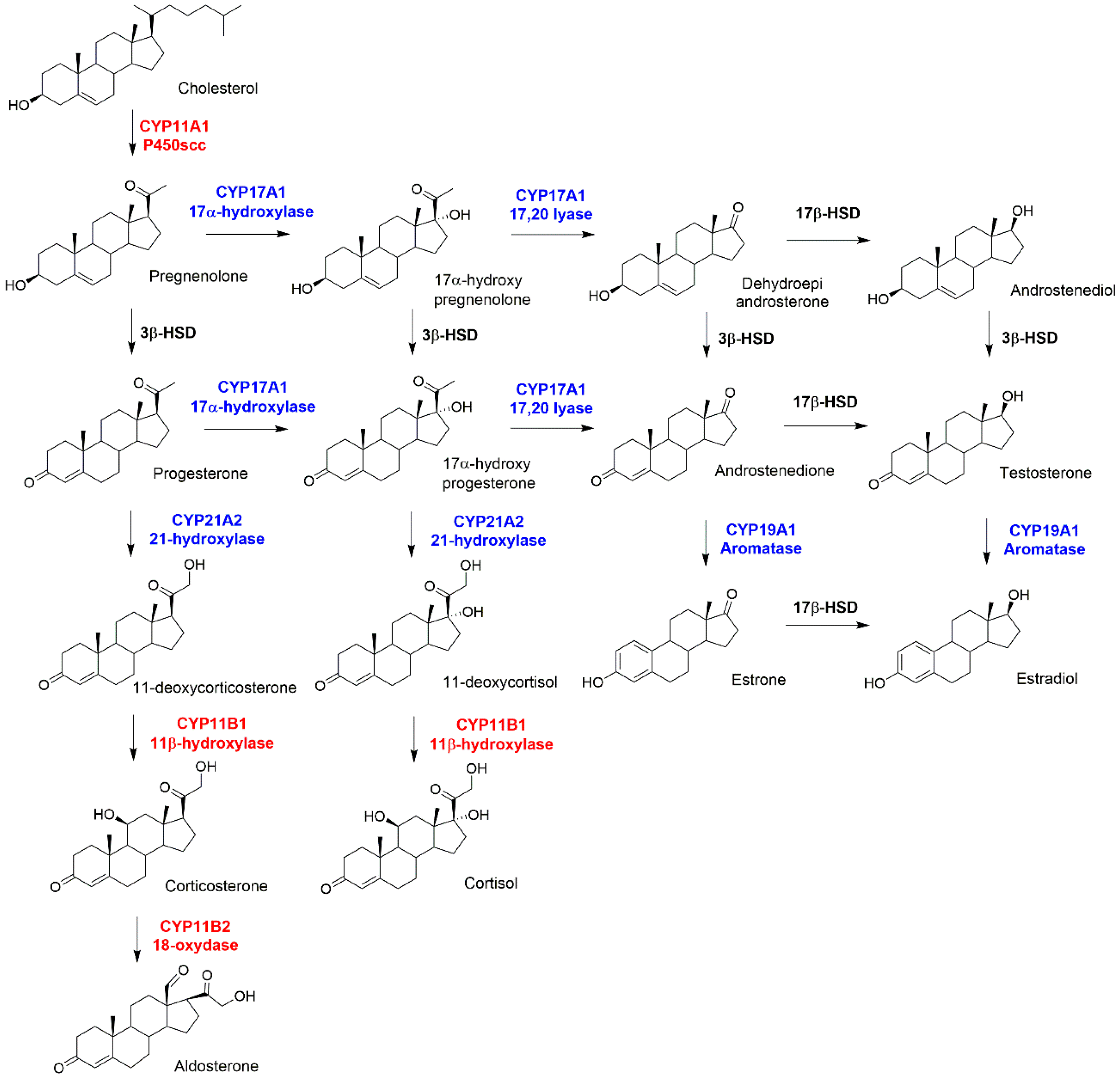 Catalysts 09 00081 g001
