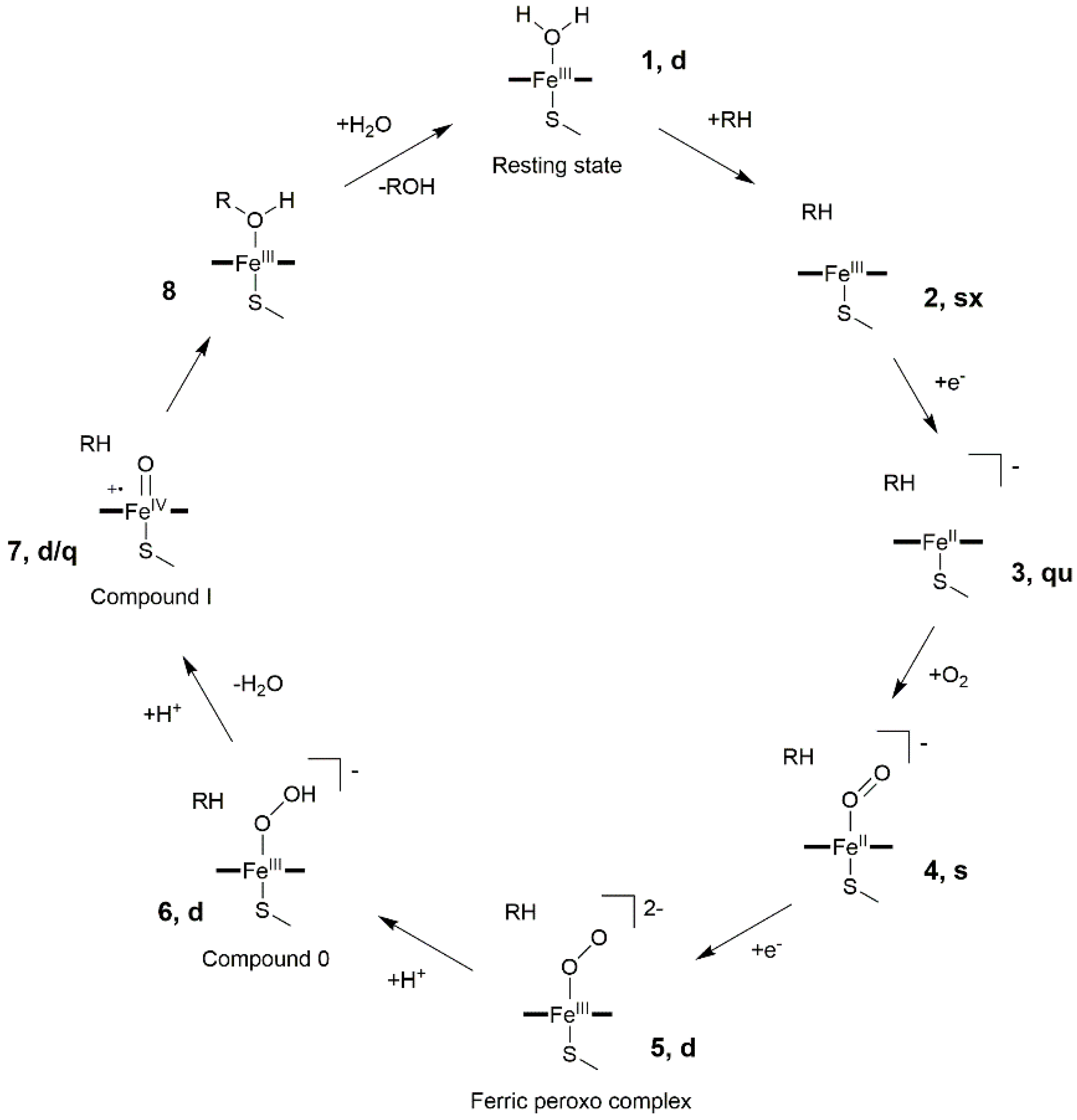 Catalysts 09 00081 g002