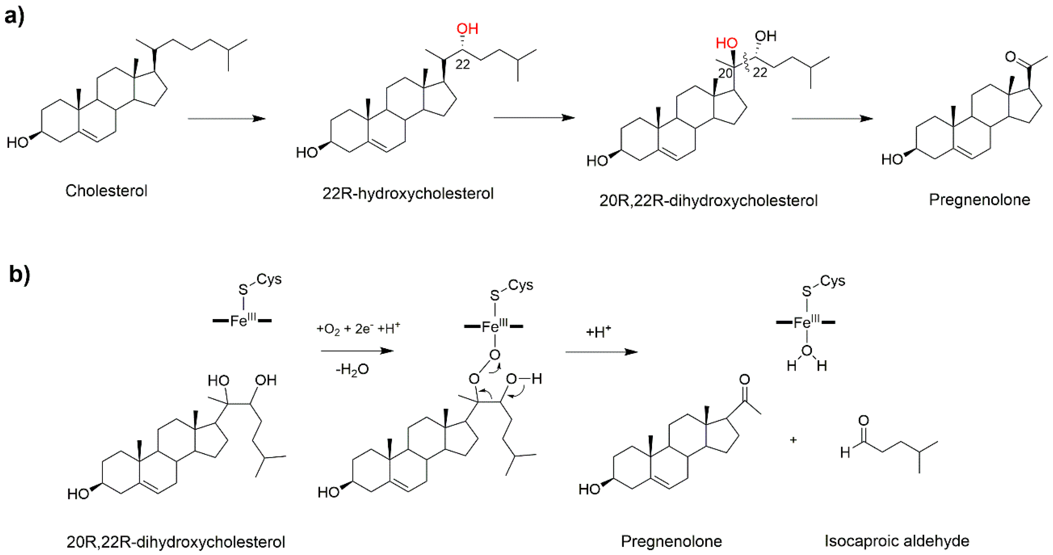 Catalysts 09 00081 g004