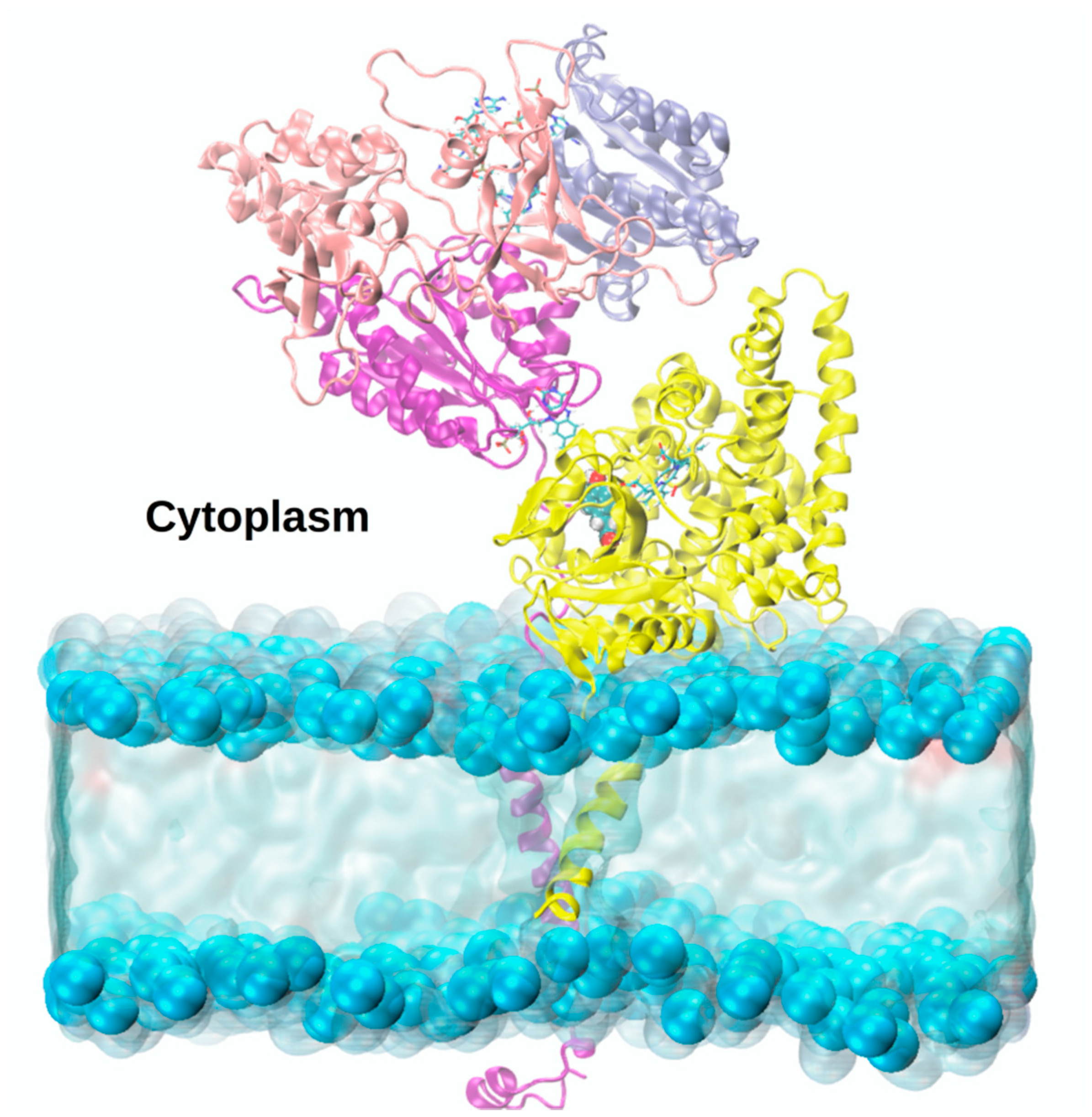 Catalysts 09 00081 g009