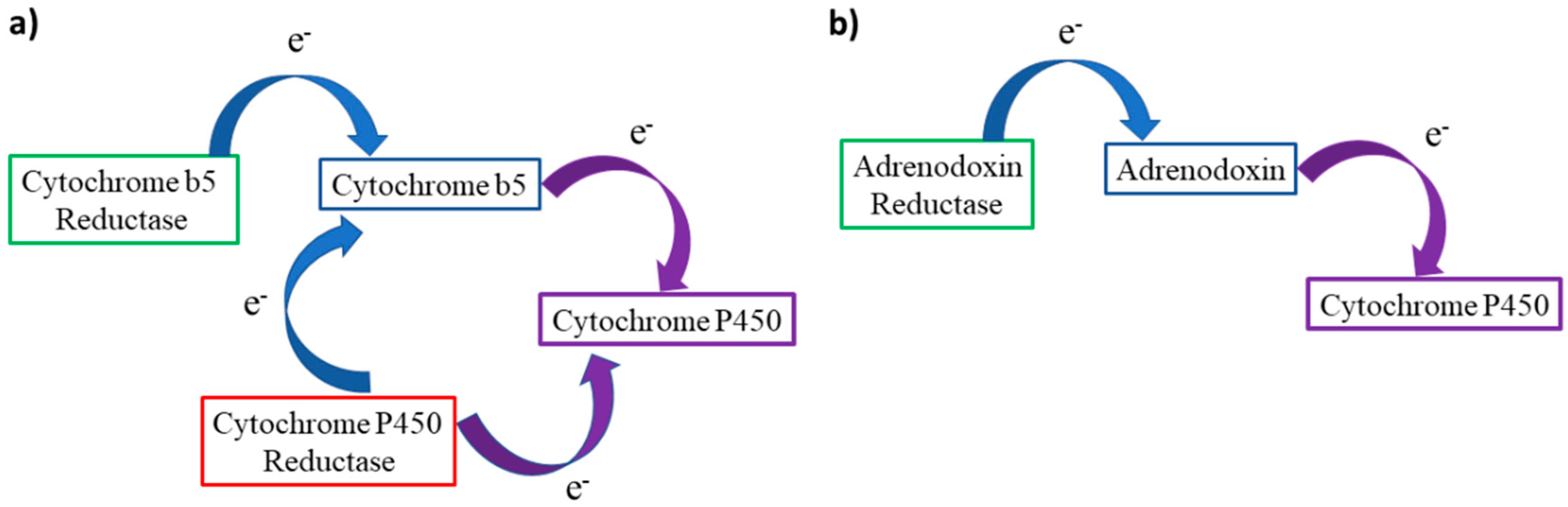 Catalysts 09 00081 g010