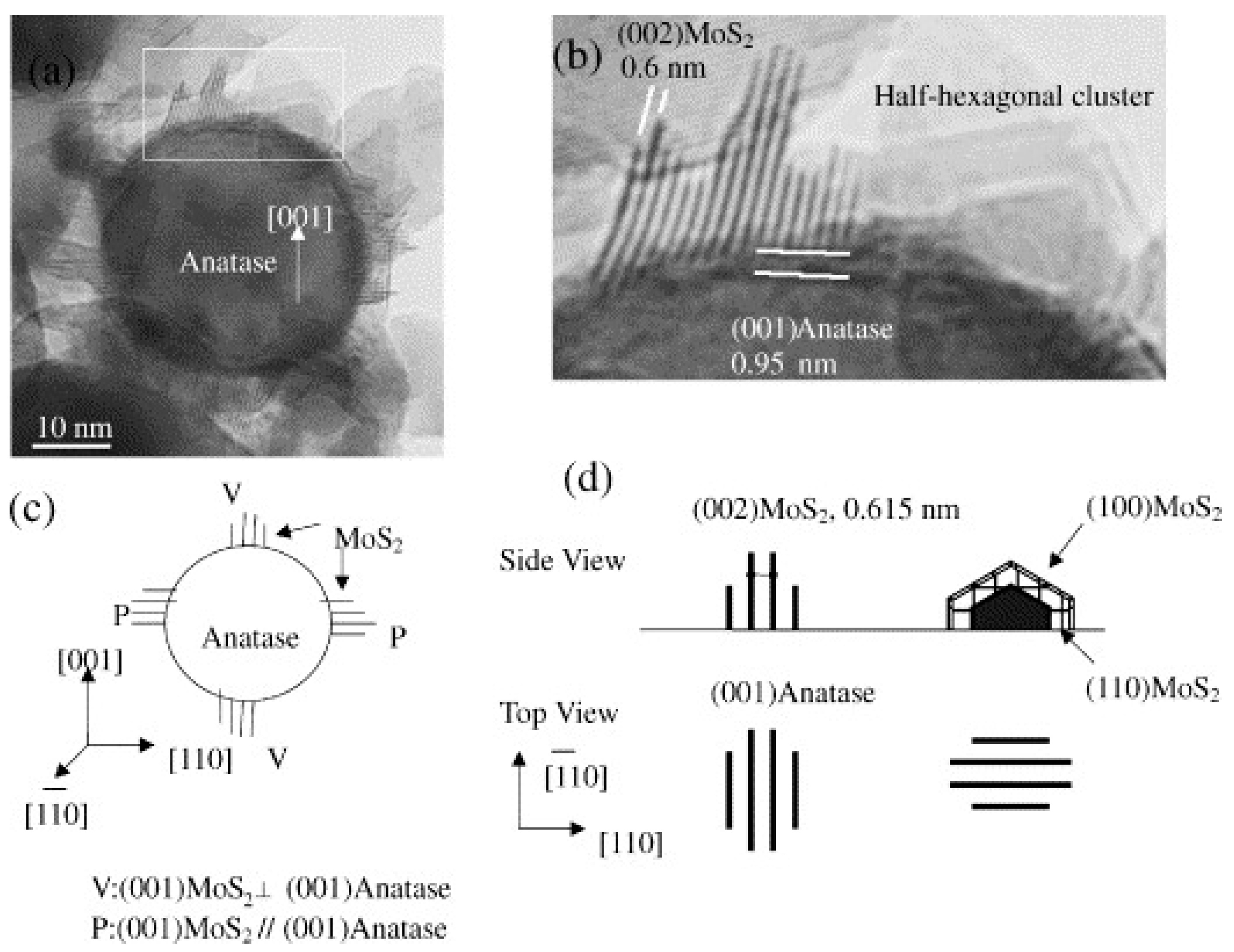 Catalysts 09 00087 g003