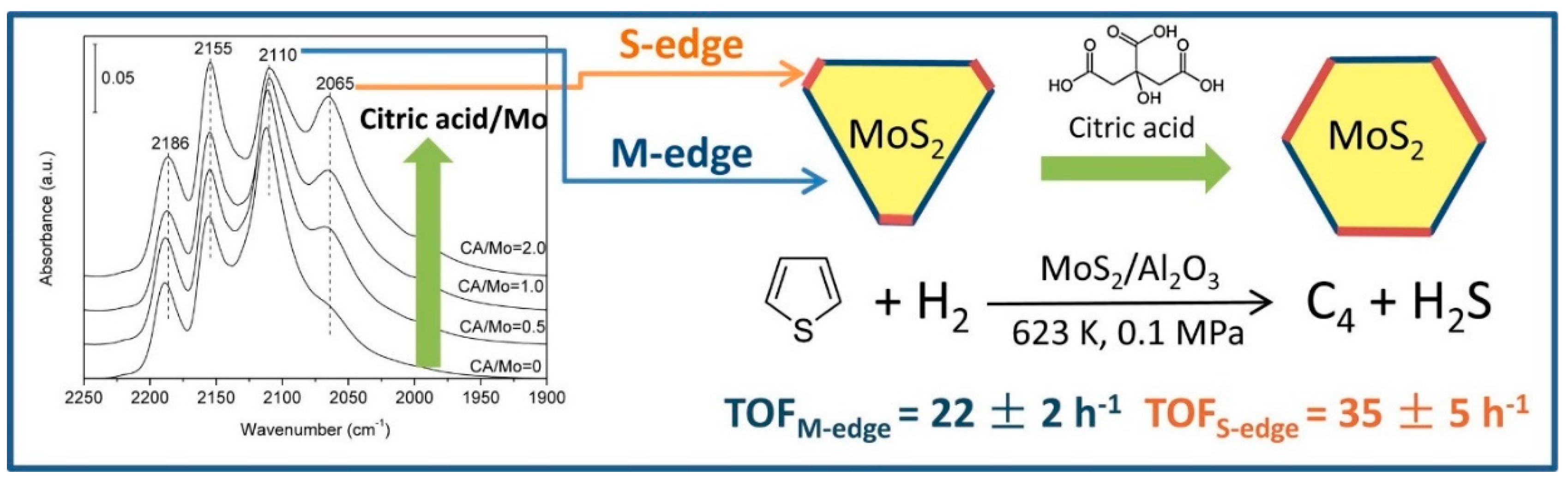 Catalysts 09 00087 g005