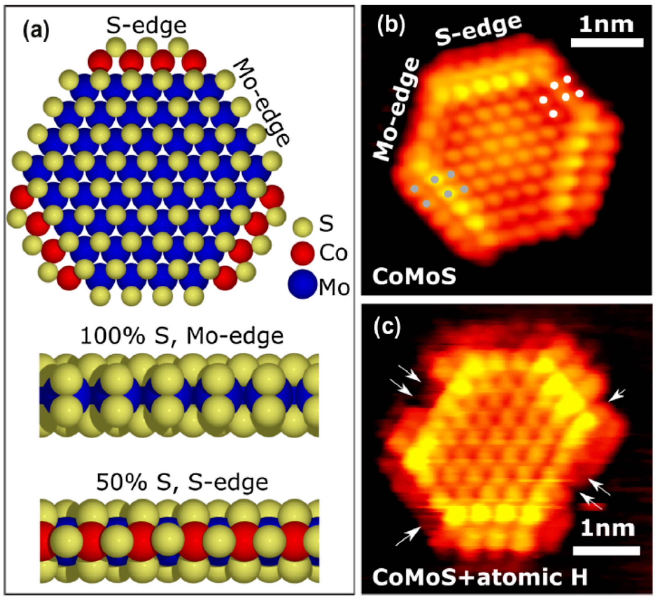 Catalysts 09 00087 g008