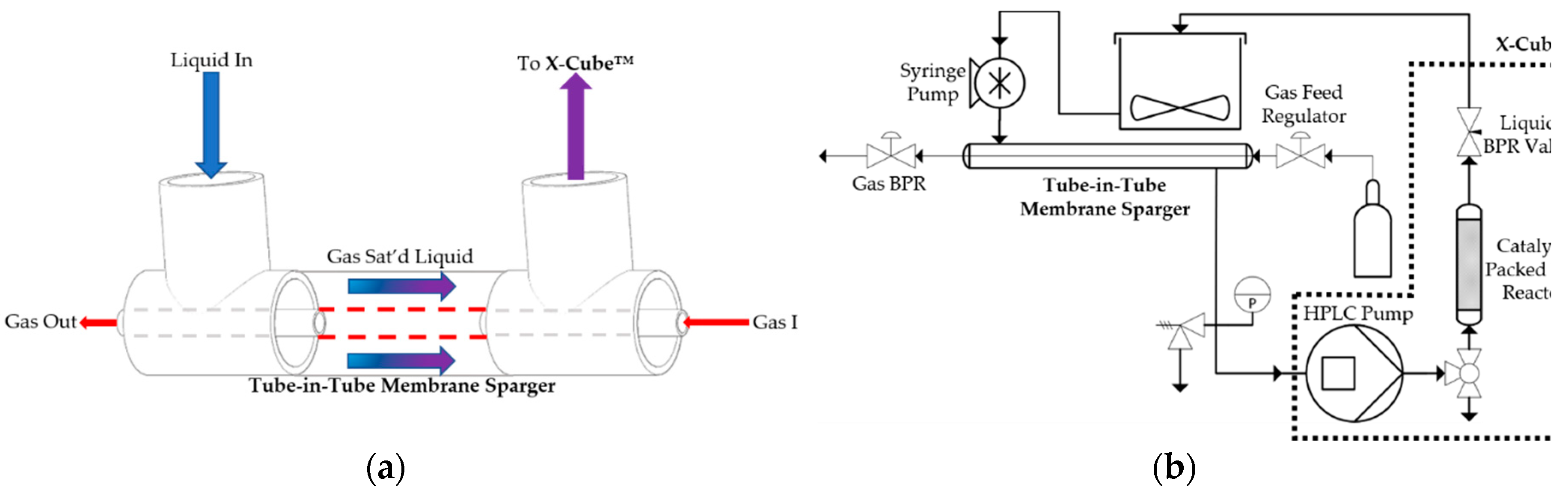Catalysts 09 00095 g002
