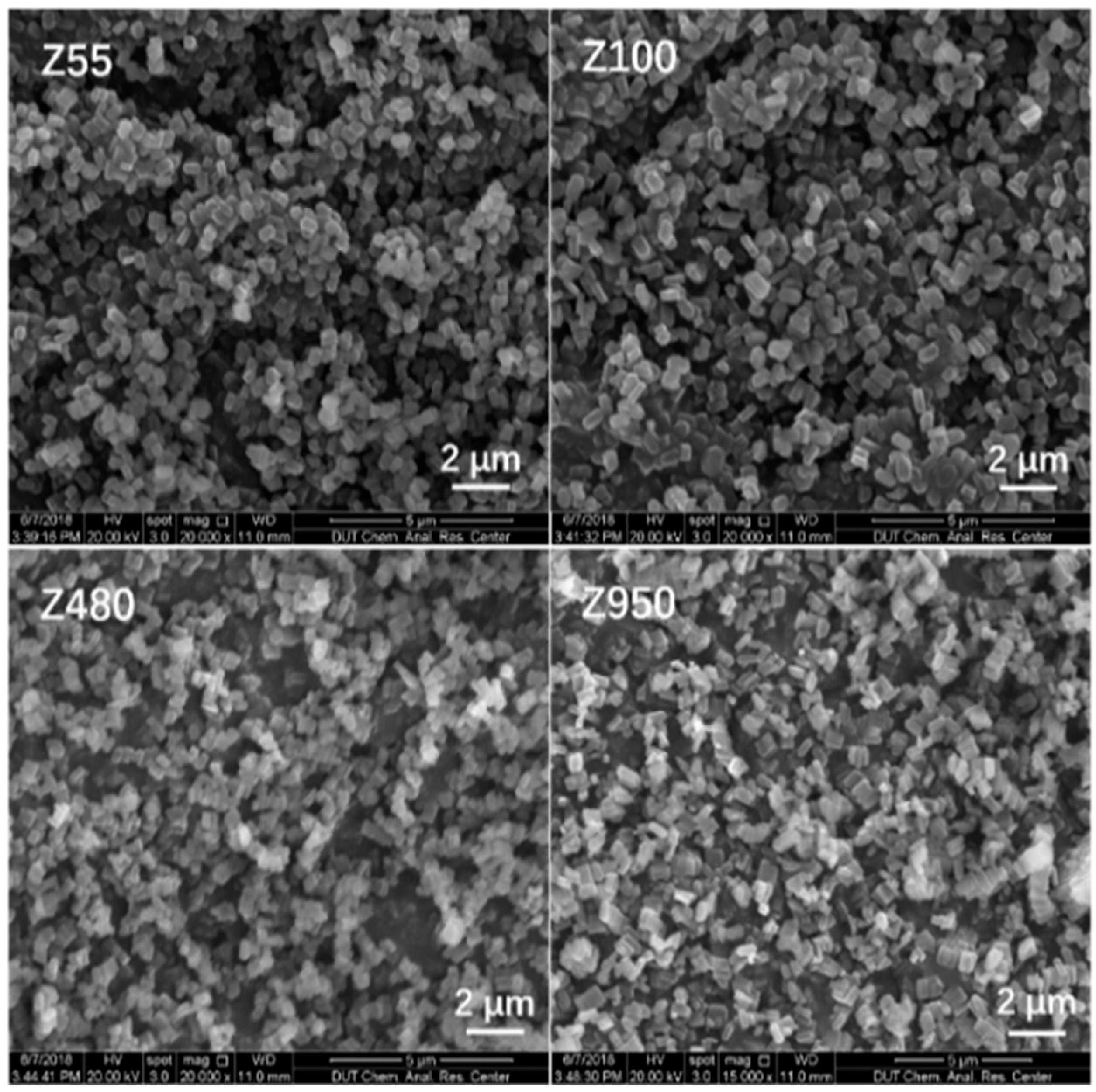 Catalysts 09 00100 g001