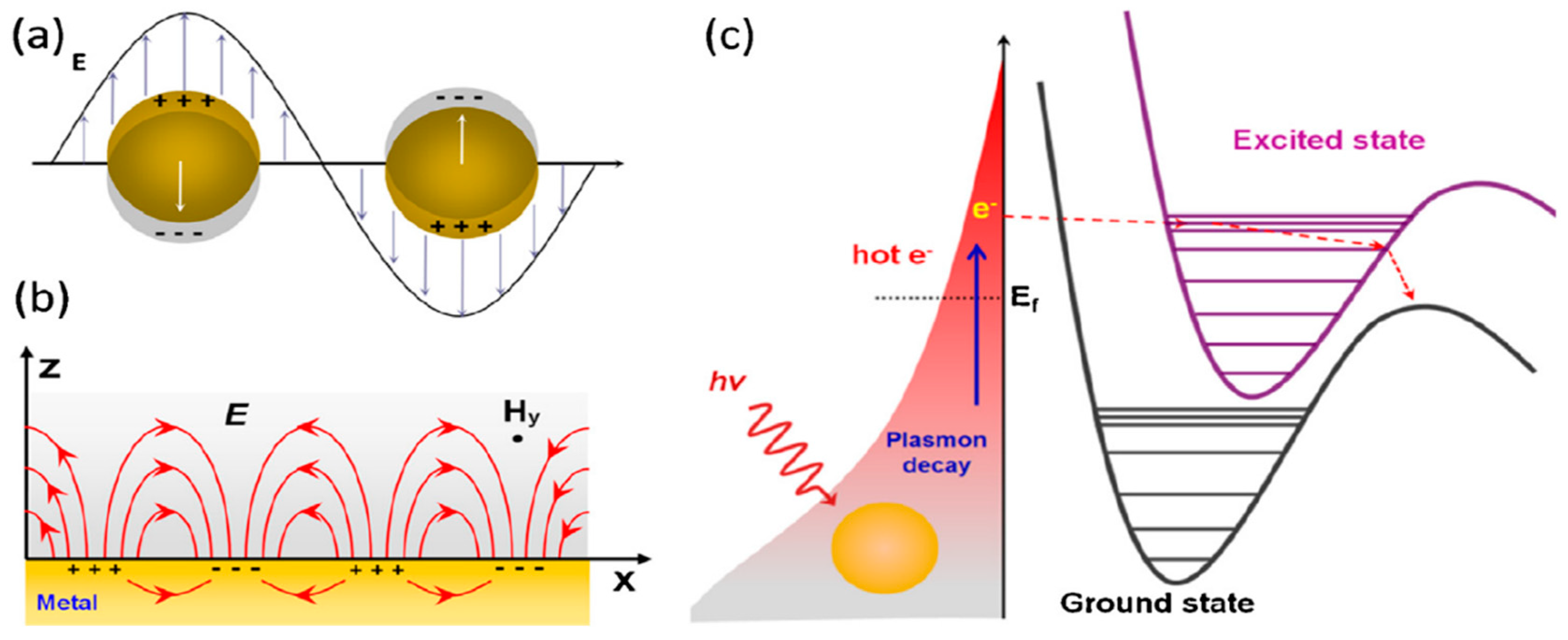 Catalysts 09 00109 g001