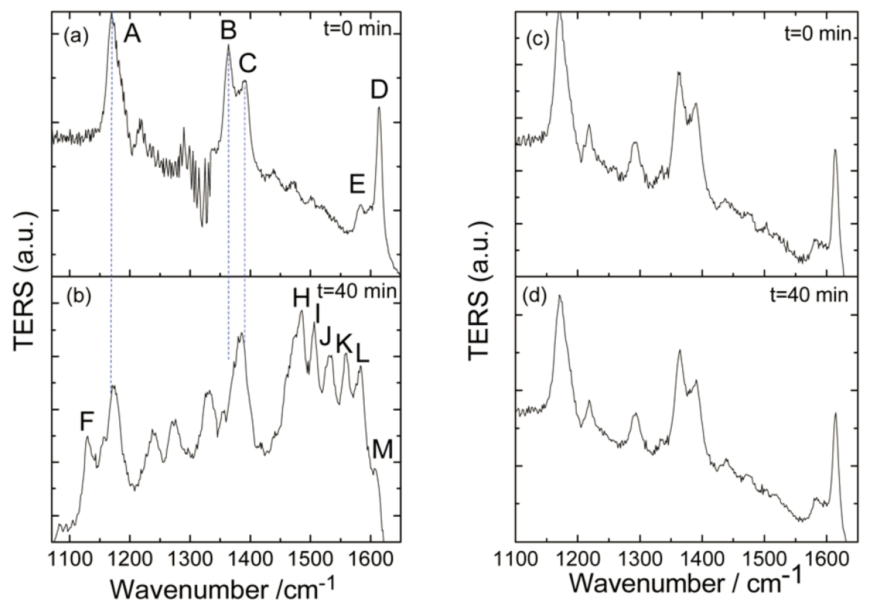 Catalysts 09 00109 g006