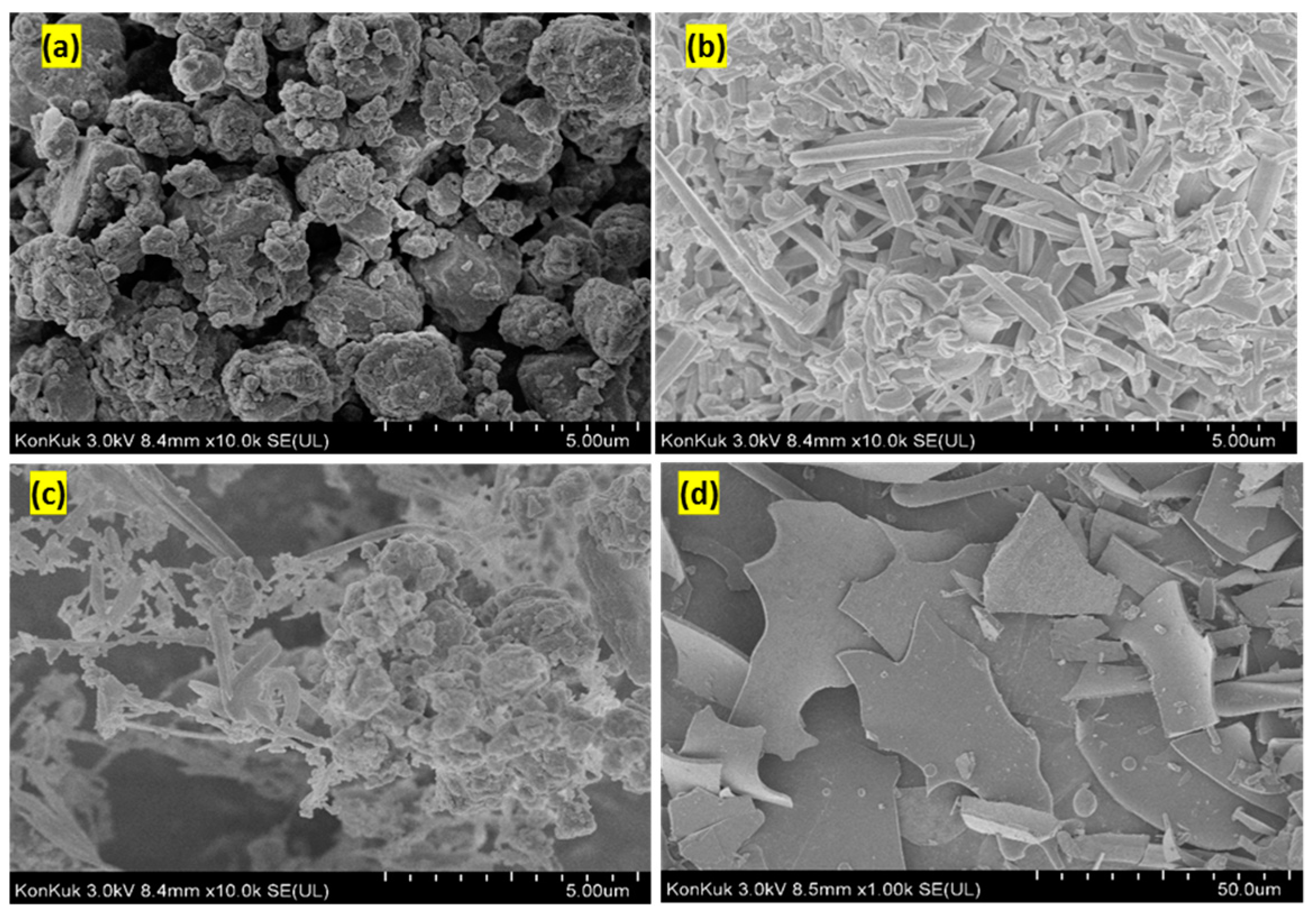 Catalysts 09 00111 g008