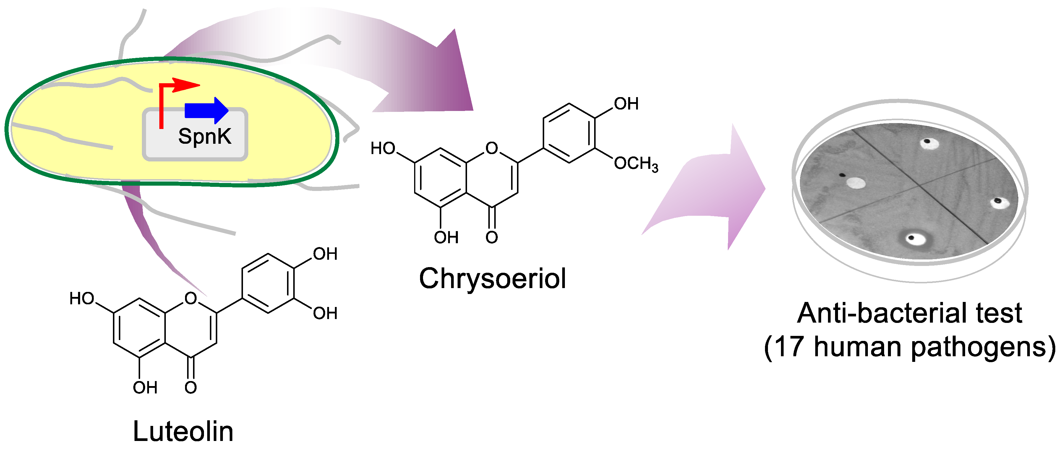 Catalysts 09 00112 g001