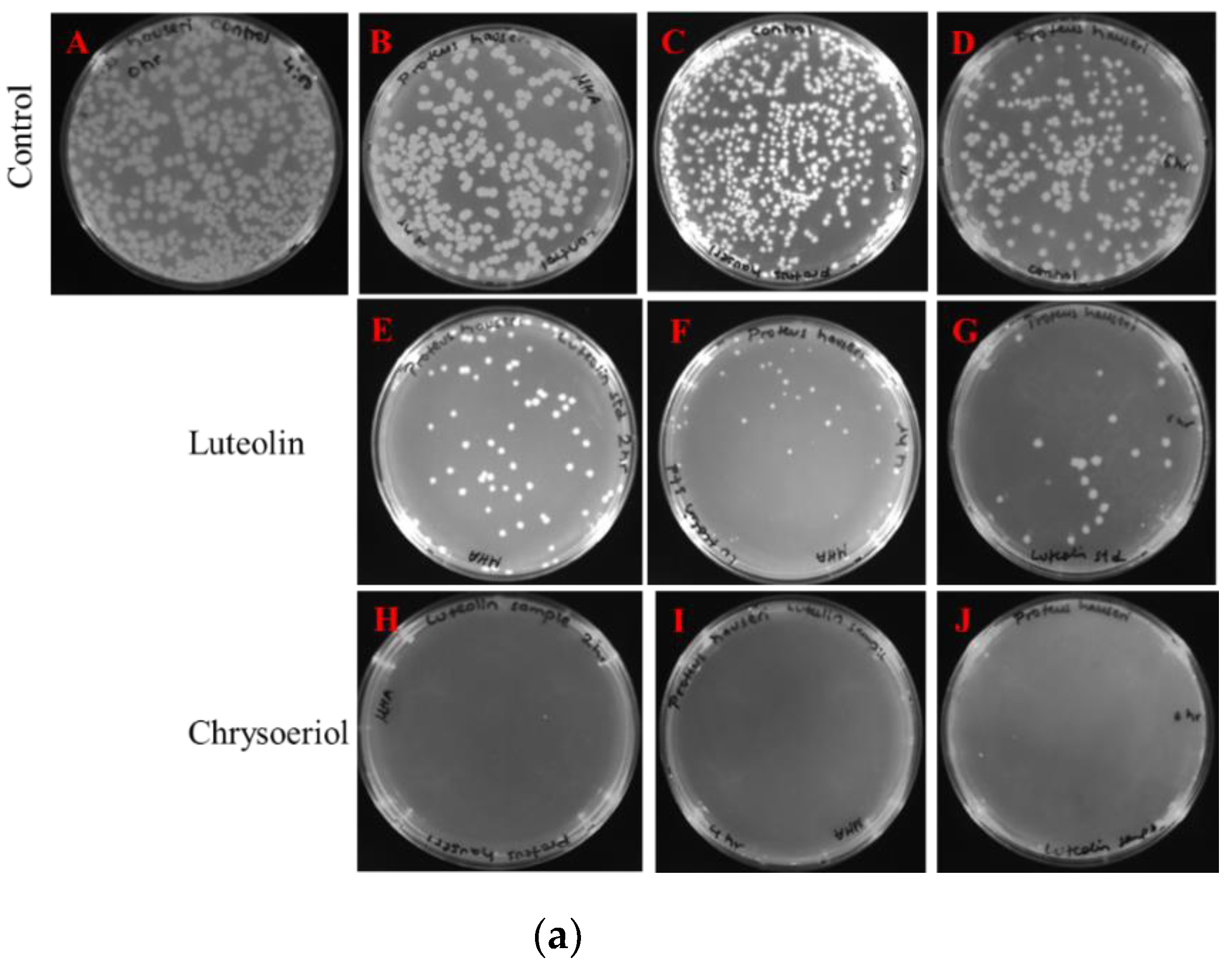 Catalysts 09 00112 g005a