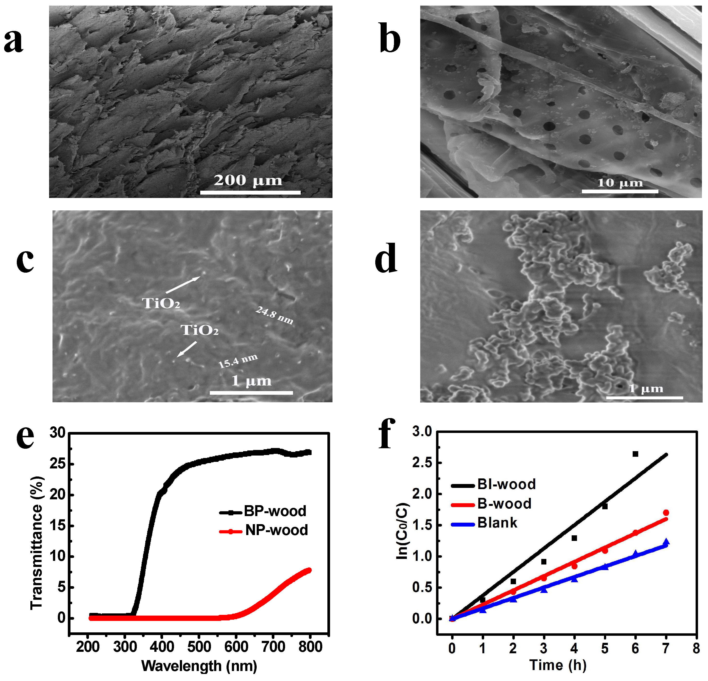 Catalysts 09 00115 g003