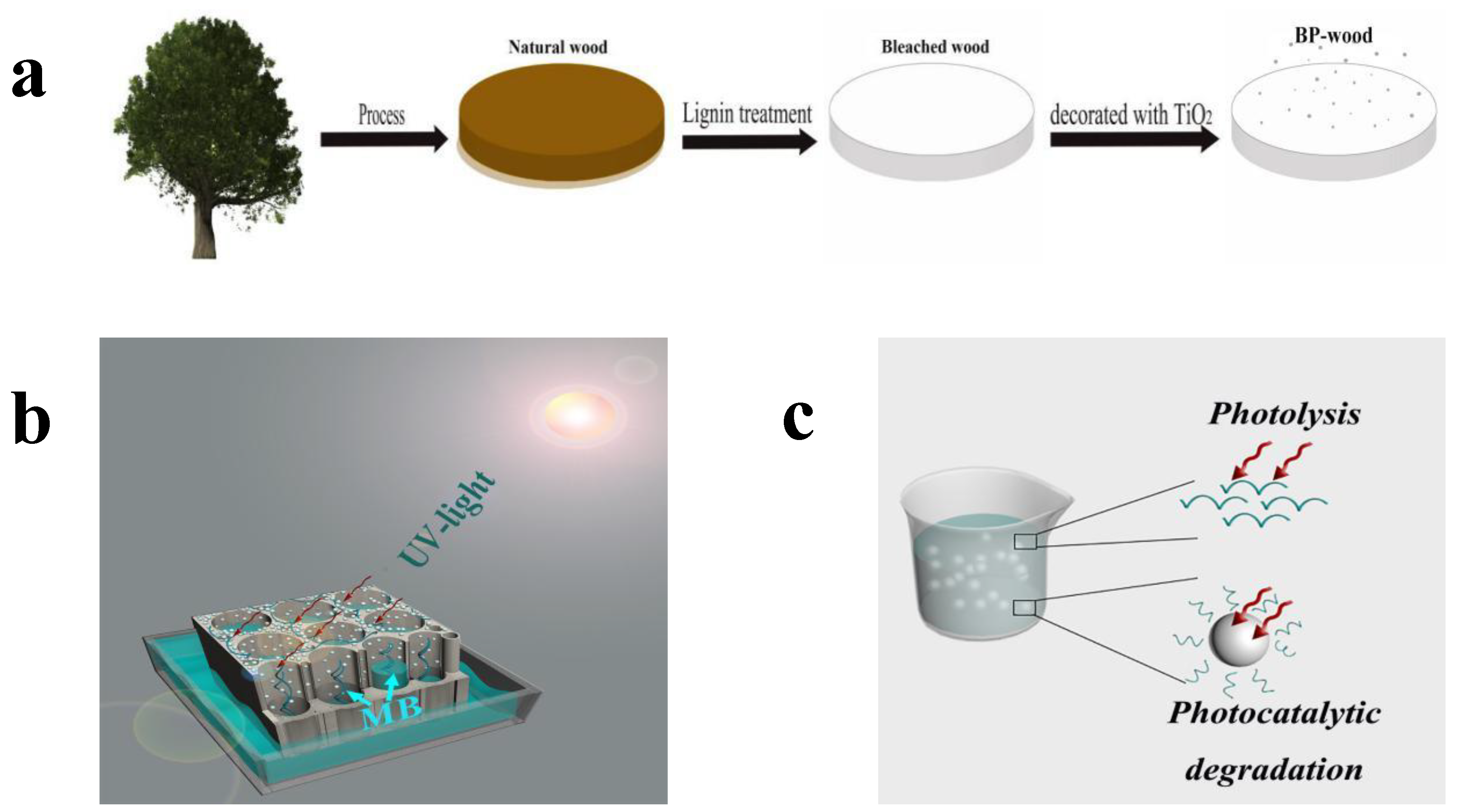 Catalysts 09 00115 sch001
