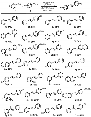 Catalysts 09 00116 i002