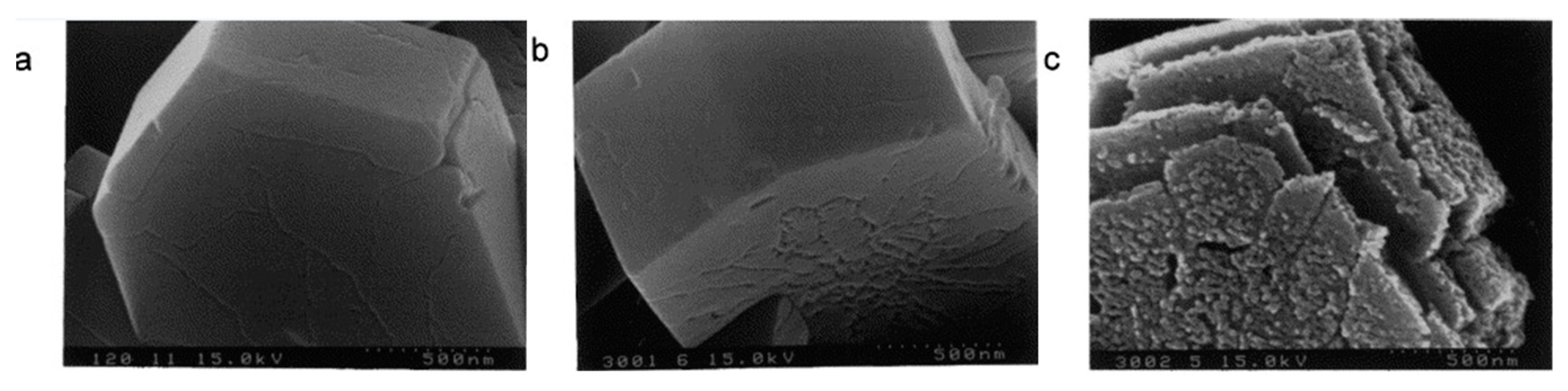 Catalysts 09 00127 g004