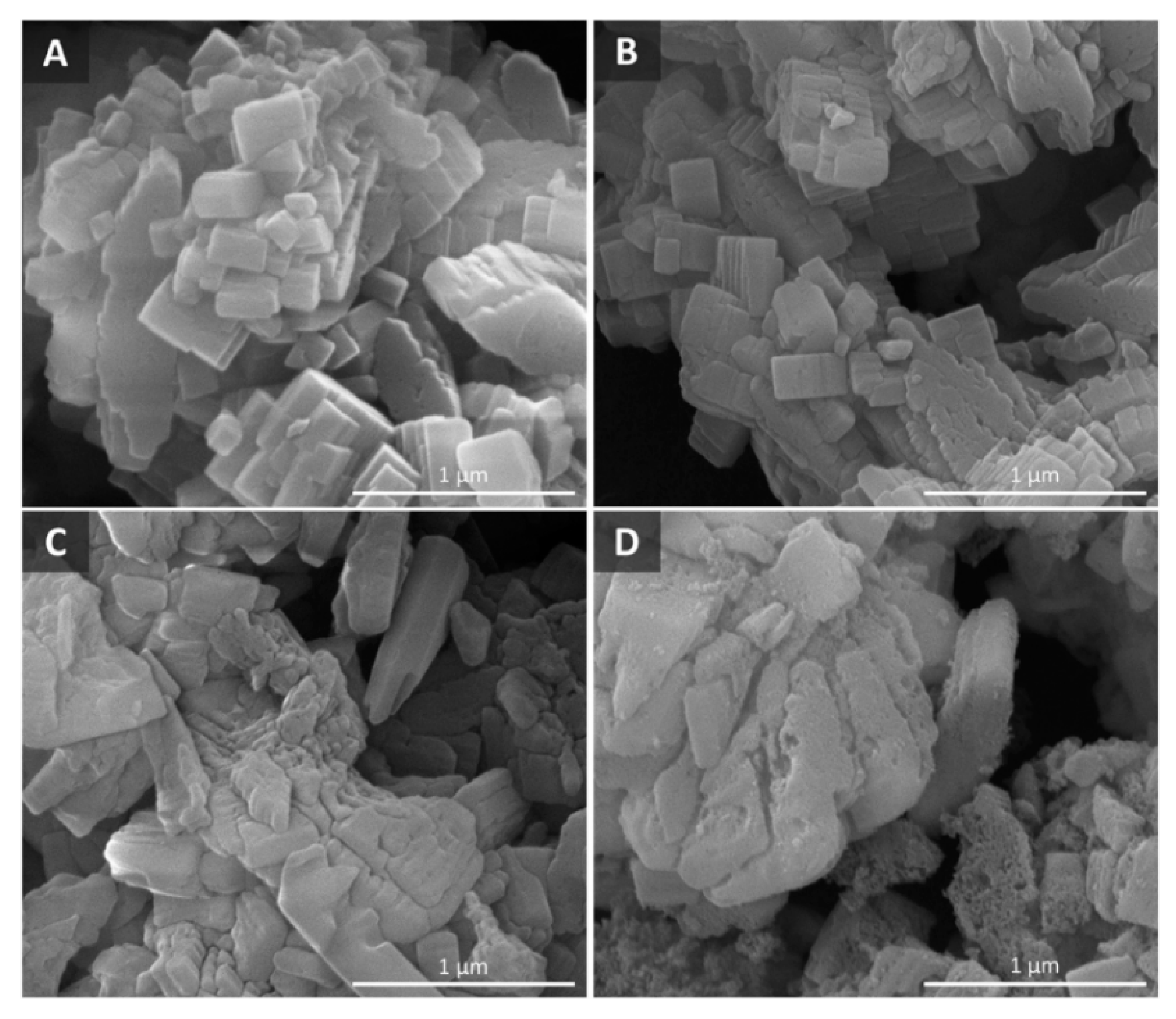 Catalysts 09 00127 g007
