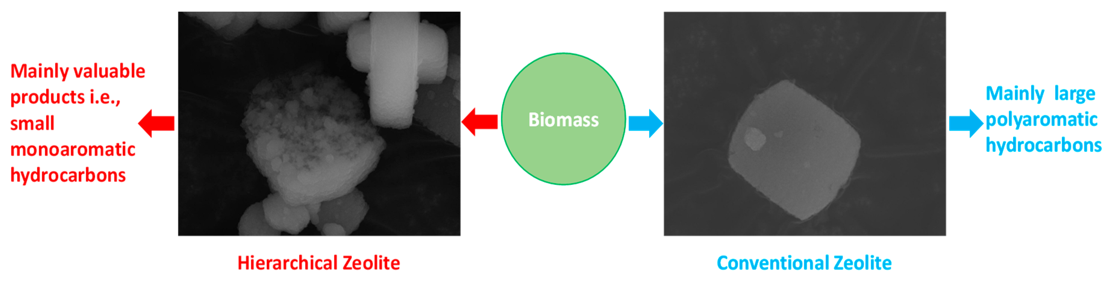 Catalysts 09 00127 g010