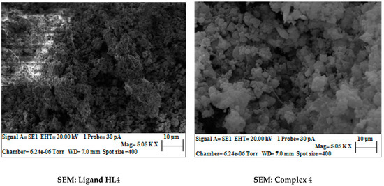 Catalysts 09 00143 g001a Catalysts 09 00143 g001a