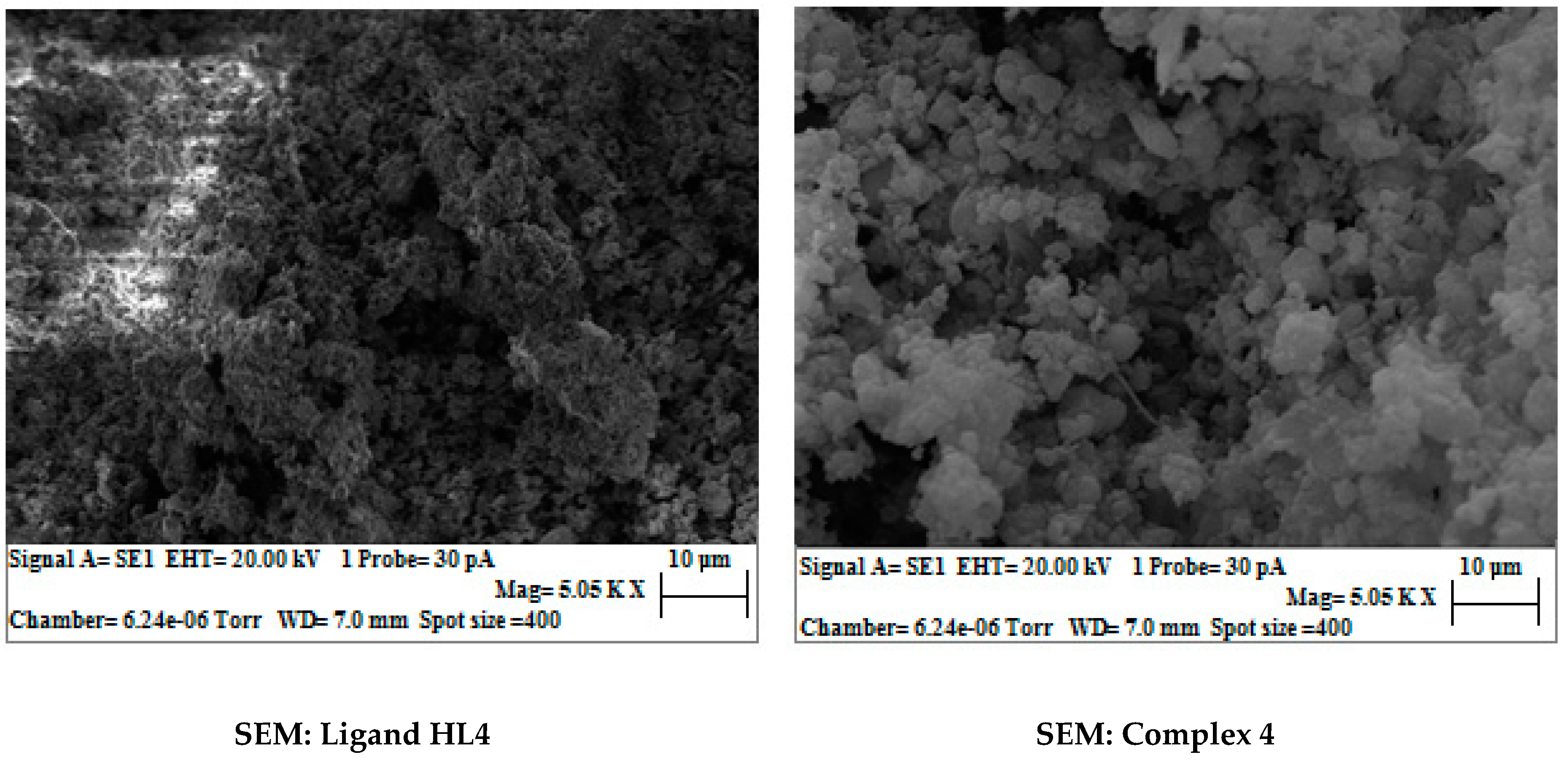 Catalysts 09 00143 g001a Catalysts 09 00143 g001a