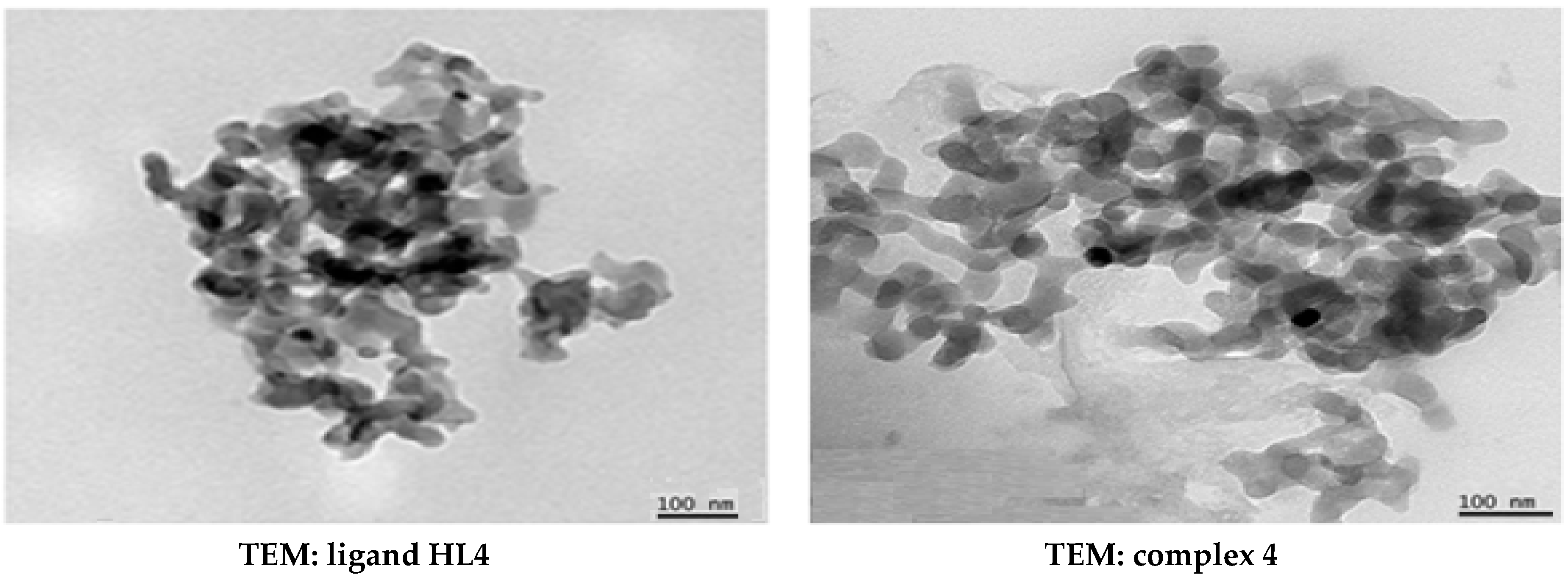 Catalysts 09 00143 g001b Catalysts 09 00143 g001b