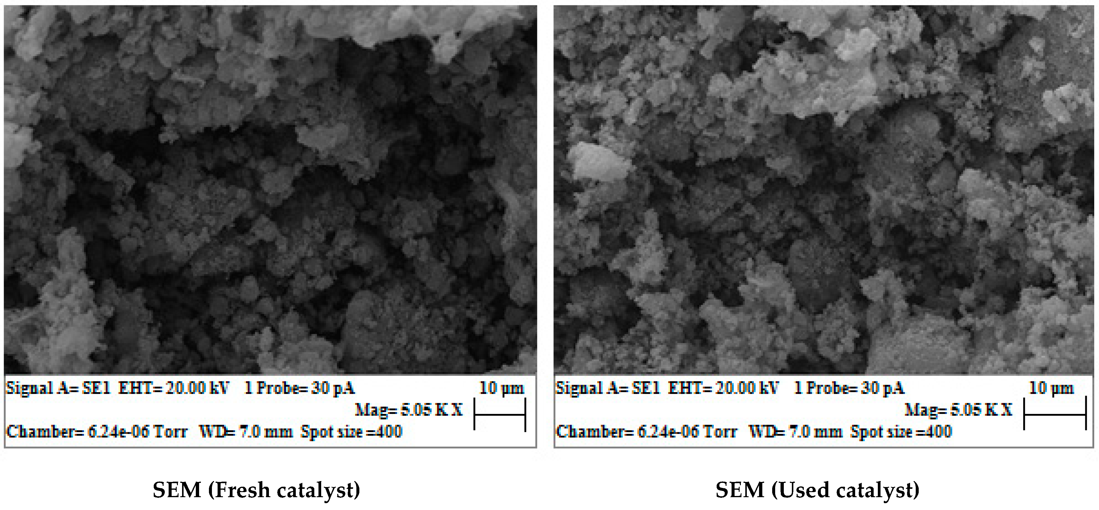 Catalysts 09 00143 g006b Catalysts 09 00143 g006b
