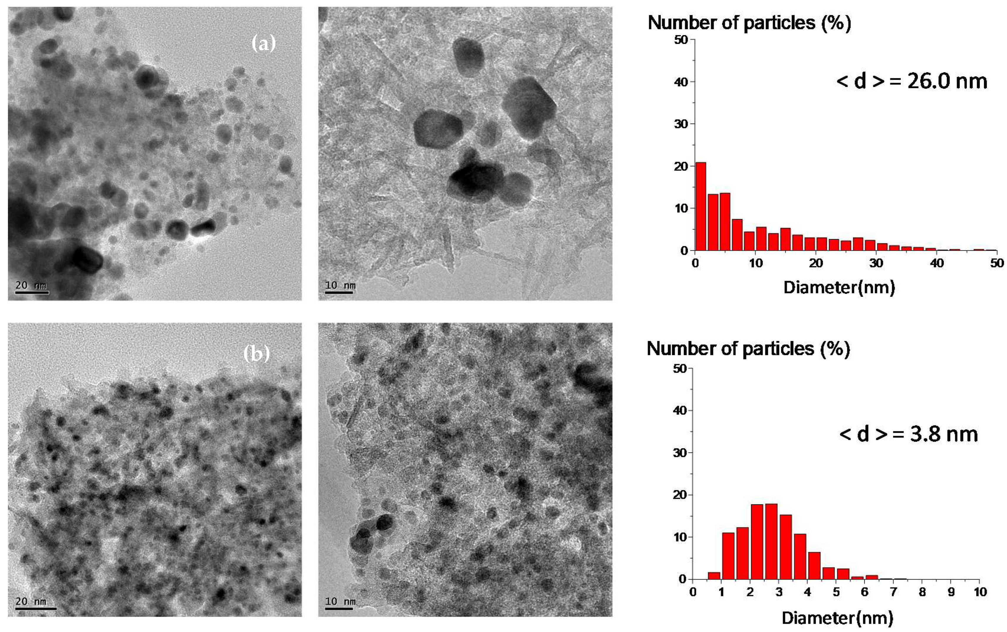 Catalysts 09 00146 g001