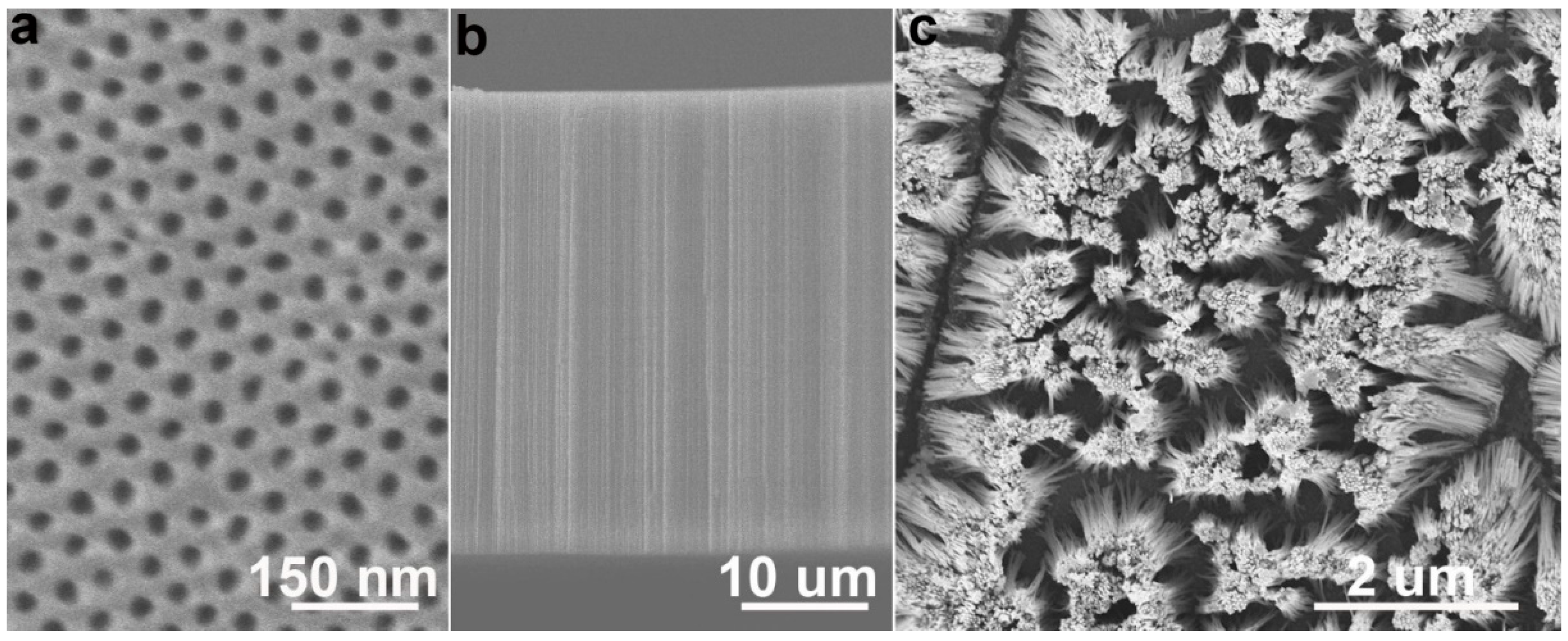 Catalysts 09 00152 g002