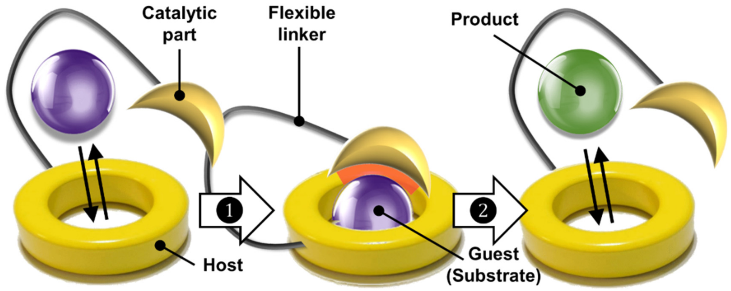 Catalysts 09 00163 g003