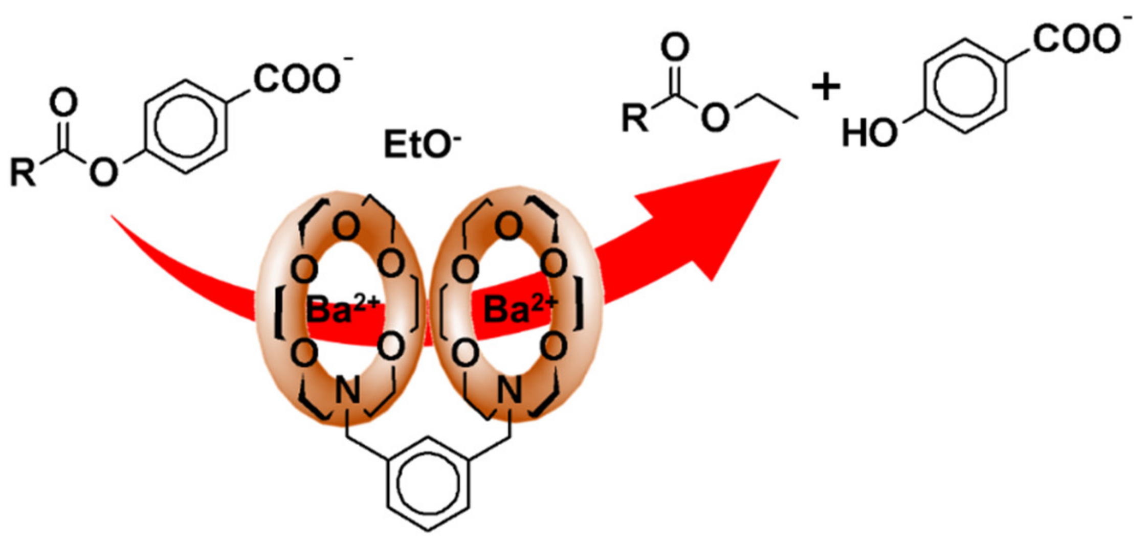 Catalysts 09 00163 g012