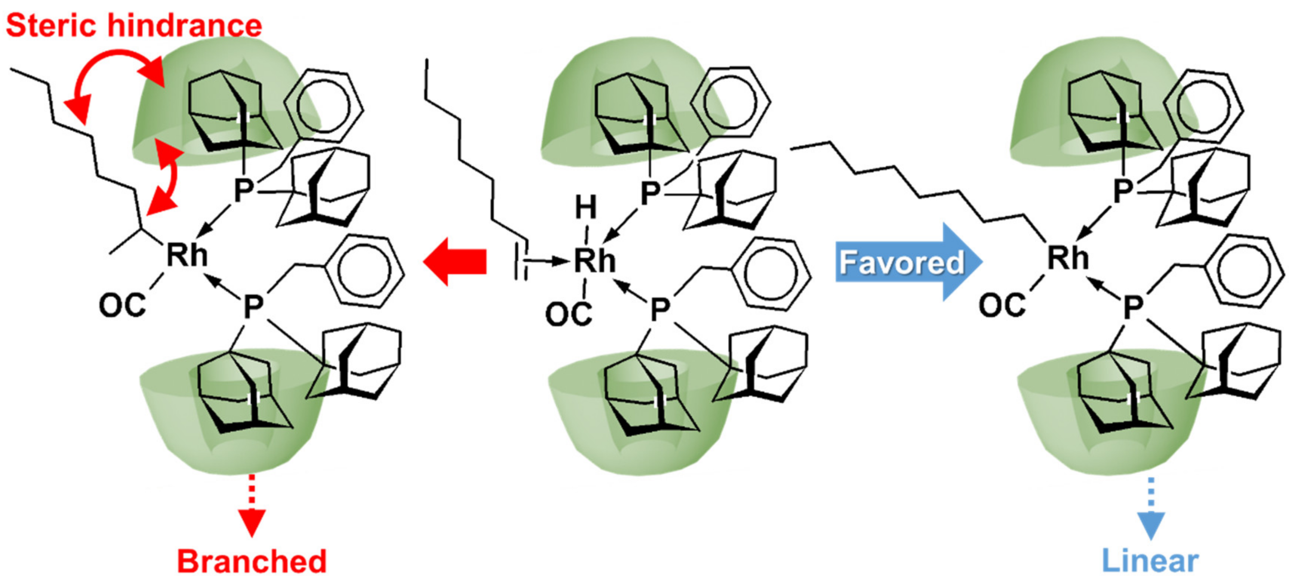 Catalysts 09 00163 g014
