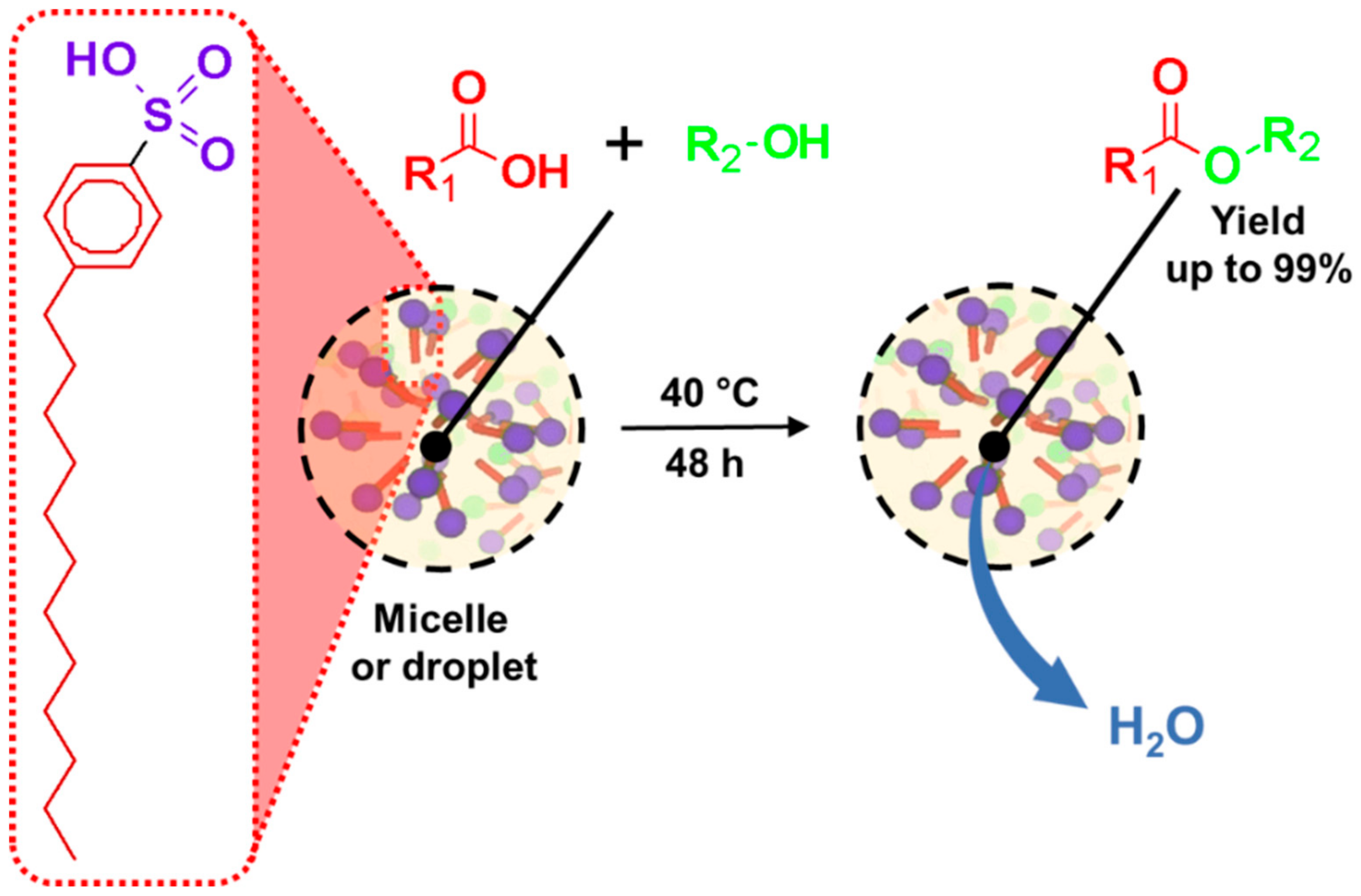 Catalysts 09 00163 g022