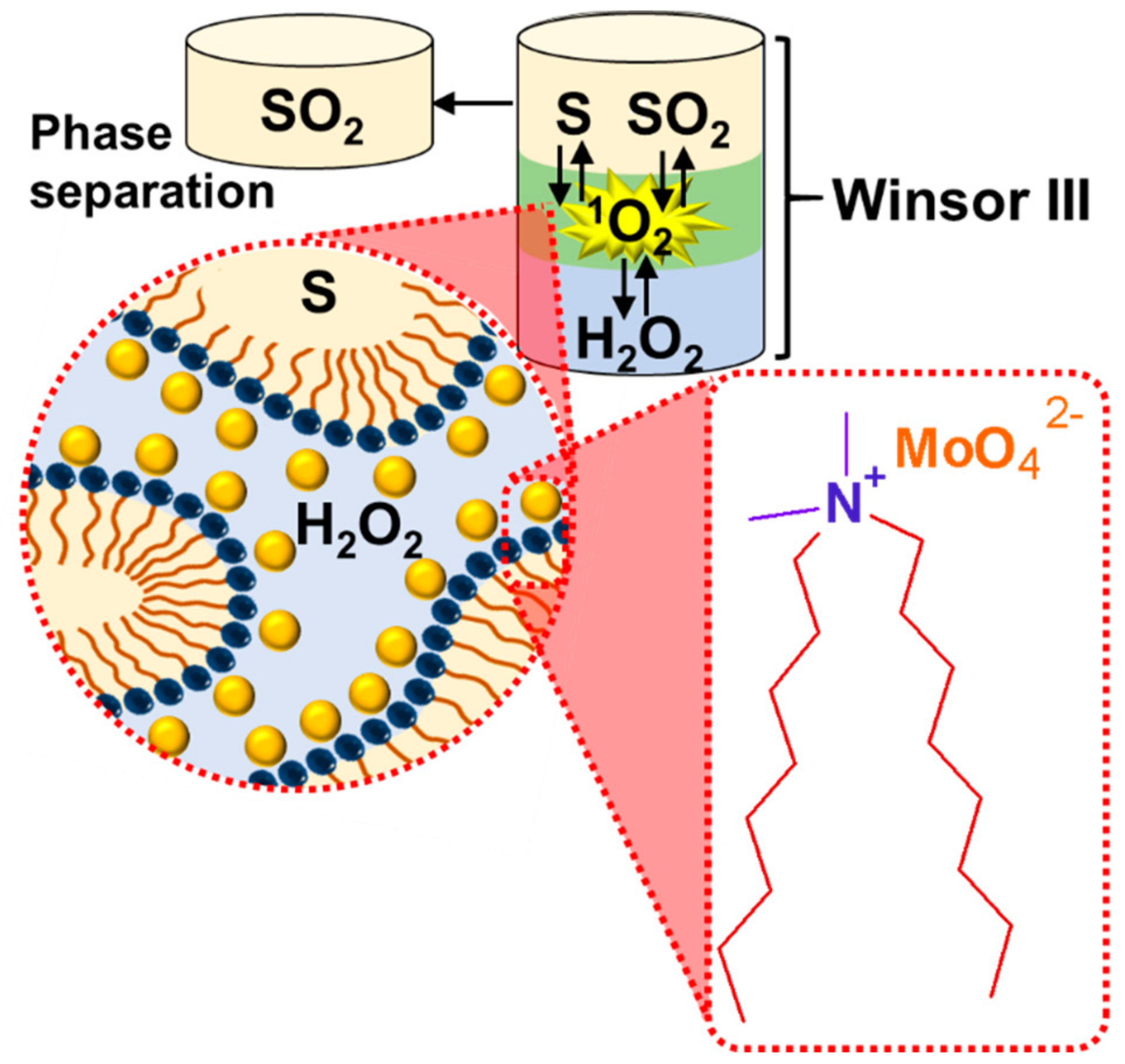 Catalysts 09 00163 g032