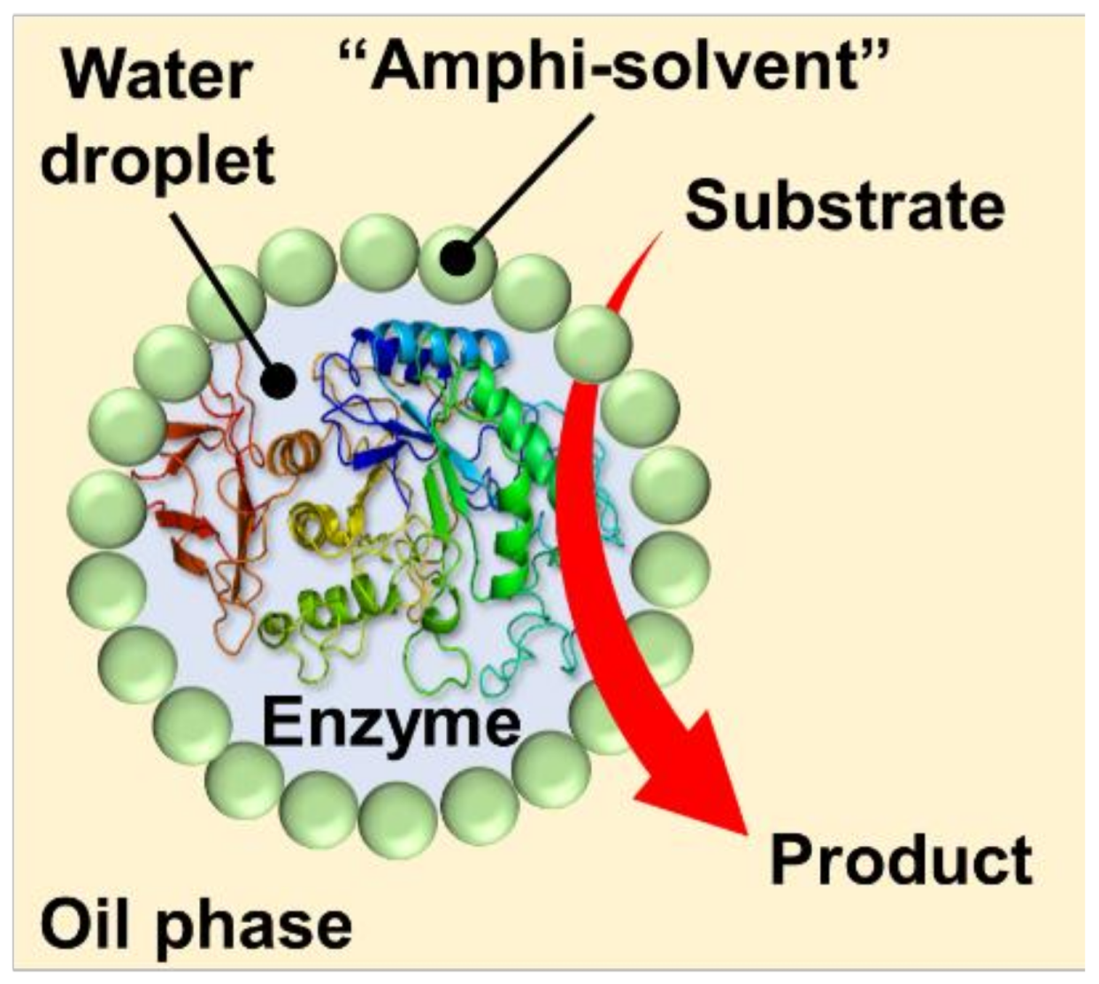 Catalysts 09 00163 g036