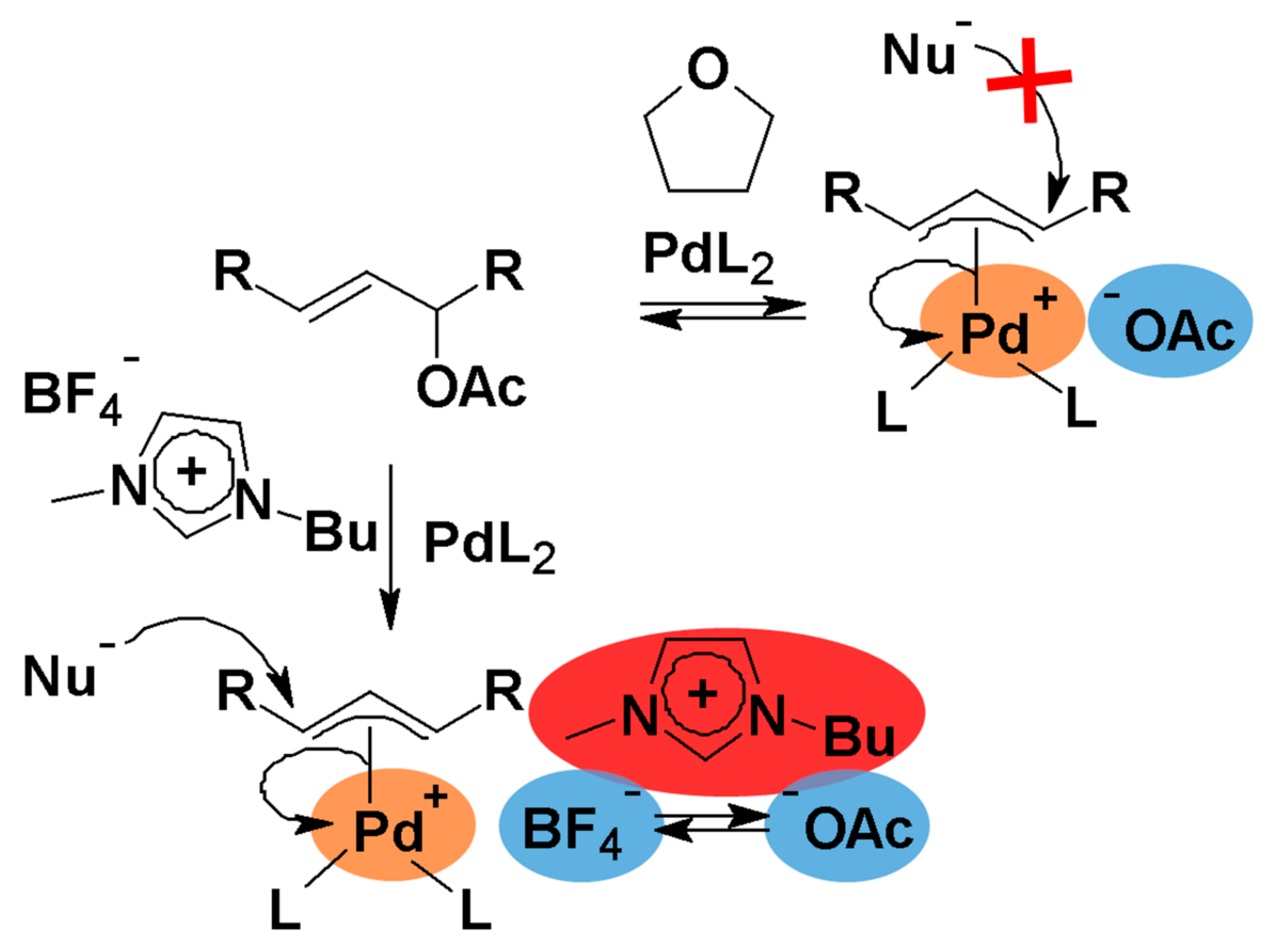Catalysts 09 00163 g042