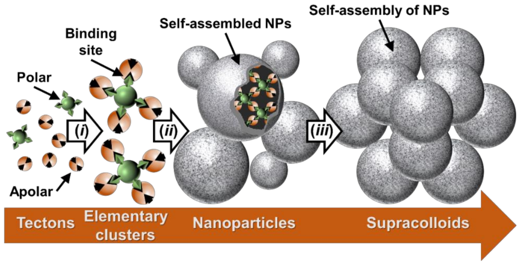 Catalysts 09 00163 g056